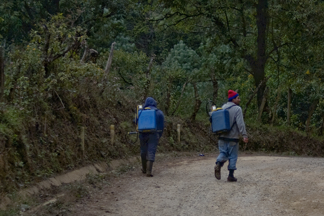 Campesinos del cantón Las Pilas, en las montañas de Chalatenango, retornan a sus casas después de hacer aspersiones en los cultivos. Foto: Fred Ramos.