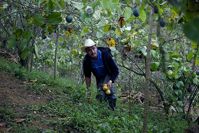 Jaime Guillén es uno de los cientos de agricultores que cultivan utilizando agroquímicos. Su esposa Delmy de Guillén fue diagnosticada con Enfermedad Renal Crónica en junio de 2012.