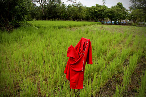 Un campo de arroz colinda con el cementerio de Ciudad Romero.