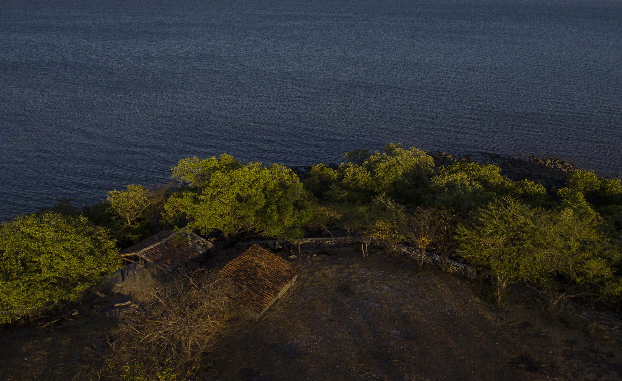 Antes había un habitante más en la isla, era Cruz Reyes, que tenía su vivienda en la parte norte, a la orilla de una pequeña playa paradisiaca. Como se ve en la imagen, ya solo quedan los vestigios de la casa de Cruz Reyes. A sus 85 años, murió de cáncer en la próstata, en noviembre de 2019. Un día hace muchos años, víspera de Navidad, Cruz Reyes y Eduardo Benítez, padre de Santiago y abuelo de los cuatro menores de esta historia, habían tomado mucho guaro para celebrar. Esta historia es tradición oral entre los pocos habitantes de la isla. Ya avanzada la noche, Eduardo vio un movimiento en el agua: “Mire, compadre, yo no sé si son los tragos o es el diablo el que se menea entre las olas”, se cuenta que dijo. Ambos corrieron hasta el lugar y encontraron a una vaca negra muy grande.  Estaba débil y en etapa de gestación. La reportaron a la Fuerza Naval, nunca encontraron a su dueño, y Cruz Reyes se apoderó de ella desde entonces, porque apareció en las tierras que él dominaba. Meses después, la vaca parió un toro, negro también, y que un tiempo después se abalanzó contra una mujer que estaba de visita en la casa de la familia Benítez. Eduardo lanzó una piedra para ahuyentar al toro. Desde entonces, el animal irrumpió la tranquilidad del lugar y desató la ira entre vecinos. La amistad quedó dañada. Eduardo, el padre de Santiago,  murió unos meses después a causa de la diabetes. Su hijo Santiago heredó una enemistad que lo obligó a huir. Los animales provocaron un nuevo enfrentamiento. Alguna vez, las gallinas pequeñas de Santiago invadieron los terrenos de Cruz Reyes y se mezclaron con sus gallinas, que eran más grandes. Cruz Reyes sentenció a Santiago: “Cualquiera de nosotros tiene que irse, o bien para el panteón o para otro lado, pero alguien, cualquiera de los dos tiene que desocupar este lugar”, recuerda Santiago las palabras de Cruz Reyes. Santiago admite el temor que sentía ante ese señor, sobre todo porque era bastante violento con el machete. Eso lo obligó a viajar ilegalmente a Estados Unidos con la ayuda de su hermano. Entre sus recuerdos están Guatemala, los 15 días que permaneció escondido en una bodega, la noche que cruzó el río Bravo montado en una balsa de hule, el camino por el desierto y el día que los agentes de Migración los capturaron en Houston, en el lugar donde lo recogería su hermano. Lo deportaron. Regresó a Punta Jocote, donde había dejado a su familia. Los convenció y decidieron volver a la isla. “Decidí venirme porque aquí crecí y envejecí y me gusta. Un problema así con un viejito es diferente a un problema con esa gente de pandillas. Porque esa gente no perdona y cuando dicen una cosa la hacen”, dice. Cruz Reyes murió en 2019, a sus 83 años, por causa de cáncer de próstata, y ahora Santiago vive en la soledad y tranquilidad que le permite la isla, solo rodeado de sus parientes.