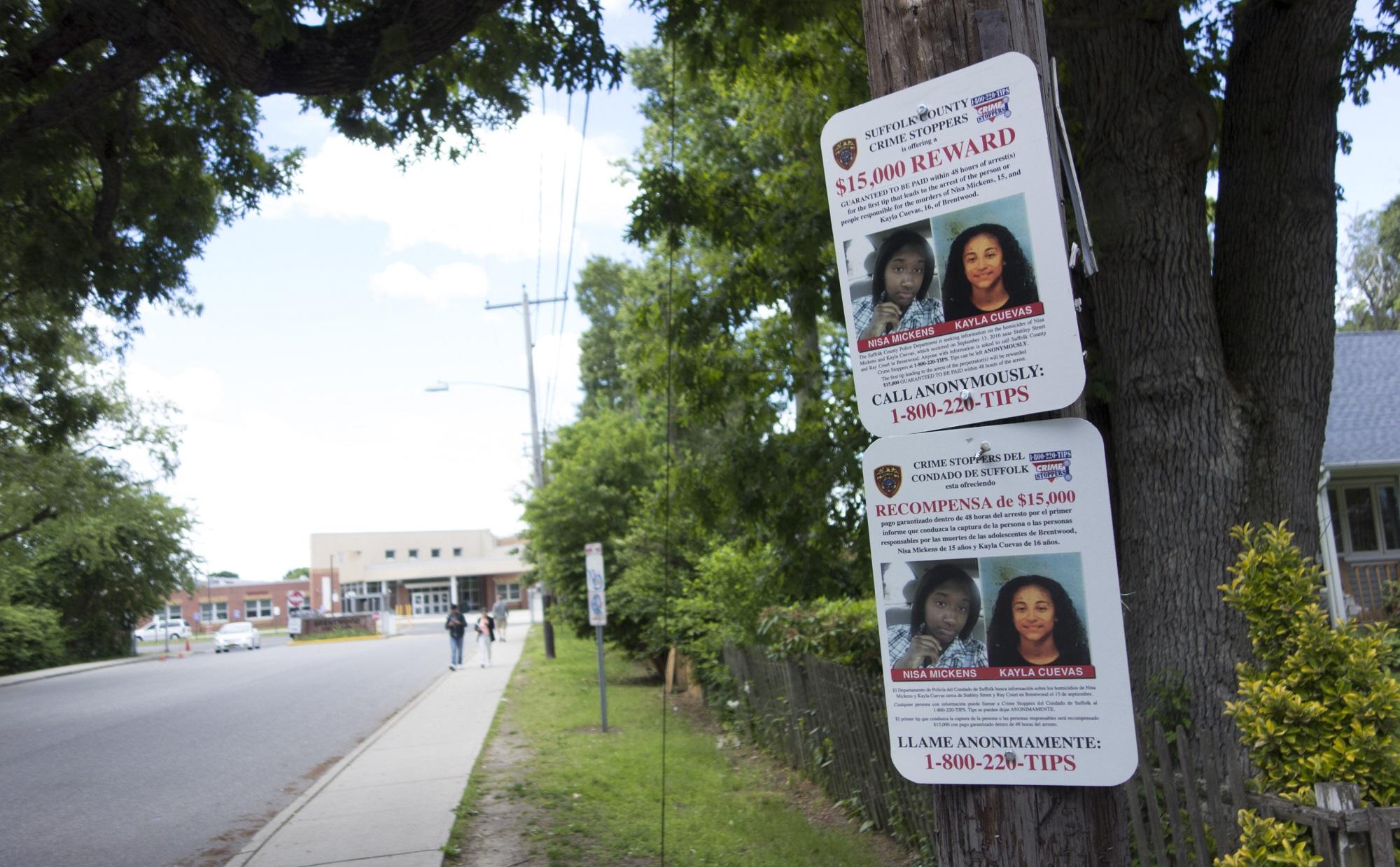 Dos carteles de la policía del condado clavados en un árbol, a apenas una cuadra del instituto público de Brentwood, muestran las fotos de Kayla y Nisa, las estudiantes asesinadas a machetazos y golpes de bates de béisbol por la Mara Salvatrucha. Foto Don Emmert (AFP).
