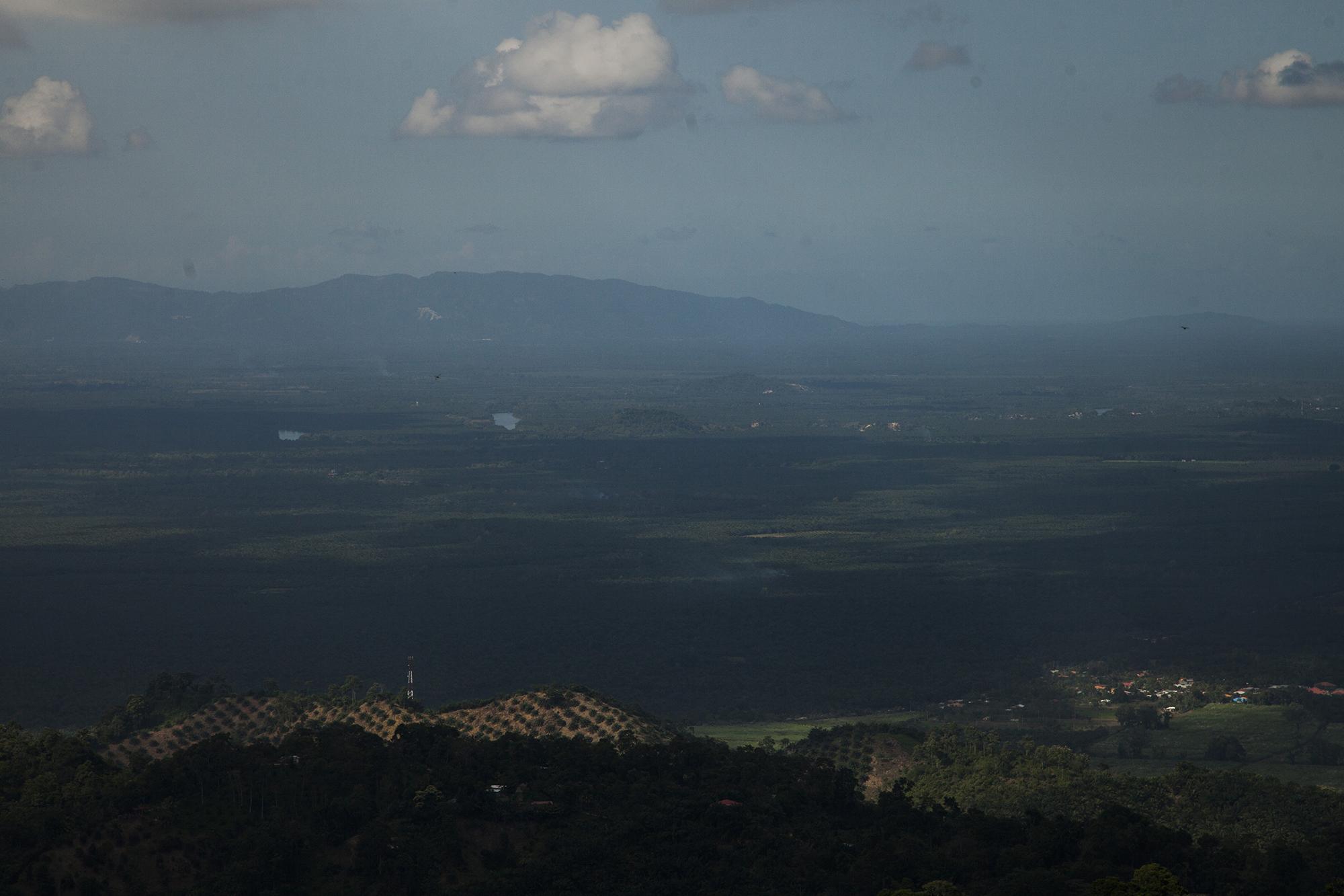 Vista de la extensión de cultivo de palma africana, desde el sector de la aldea Brisas del Norte, en el municipio de Progreso, Yoro, Honduras. En primer plano se observan unos cultivos jóvenes de palma, a mas de 800 metros de altura, que es límite para la palma. Al fondo, la mancha verde, son plantaciones de palma que se extienden por el caribe hondureño./ Foto El Faro: Víctor Peña