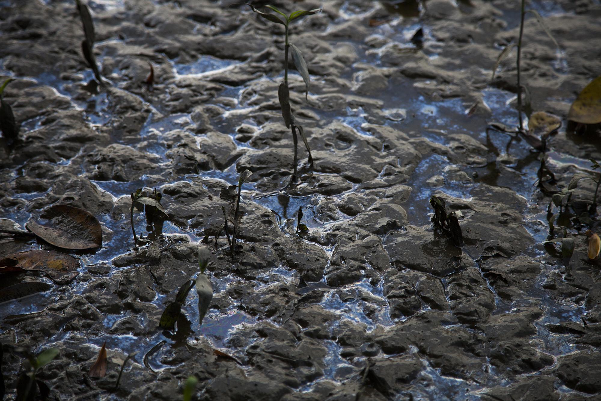 En el río Leán, en el Valle de Leán, una sustancia viscoza se mezcla con las aguas del río. La sustancia proviene de un quinel de la planta Dinant, ubicada en la comunidad El Astillero, municipio de Arizona, Honduras./ Foto El Faro: Víctor Peña