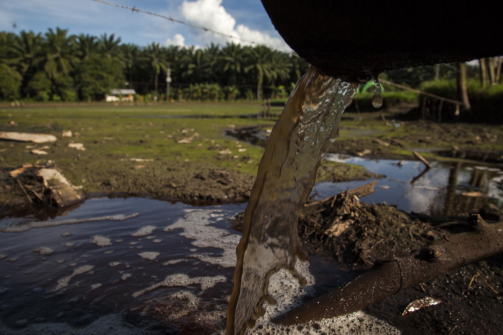 Quinel por donde corren las aguas risiduales de la fabrica de extracción de aceite, CAICESA, cerca de la comunidad de Pagoales, en el municipio de San Francisco, departamento de Atlántida, Honduras. La empresa CAICESA pertene a Grupo Jaremar, empresa que controla la cuarta parte de la producción de palma en Honduras./ Foto El Faro: Víctor Peña