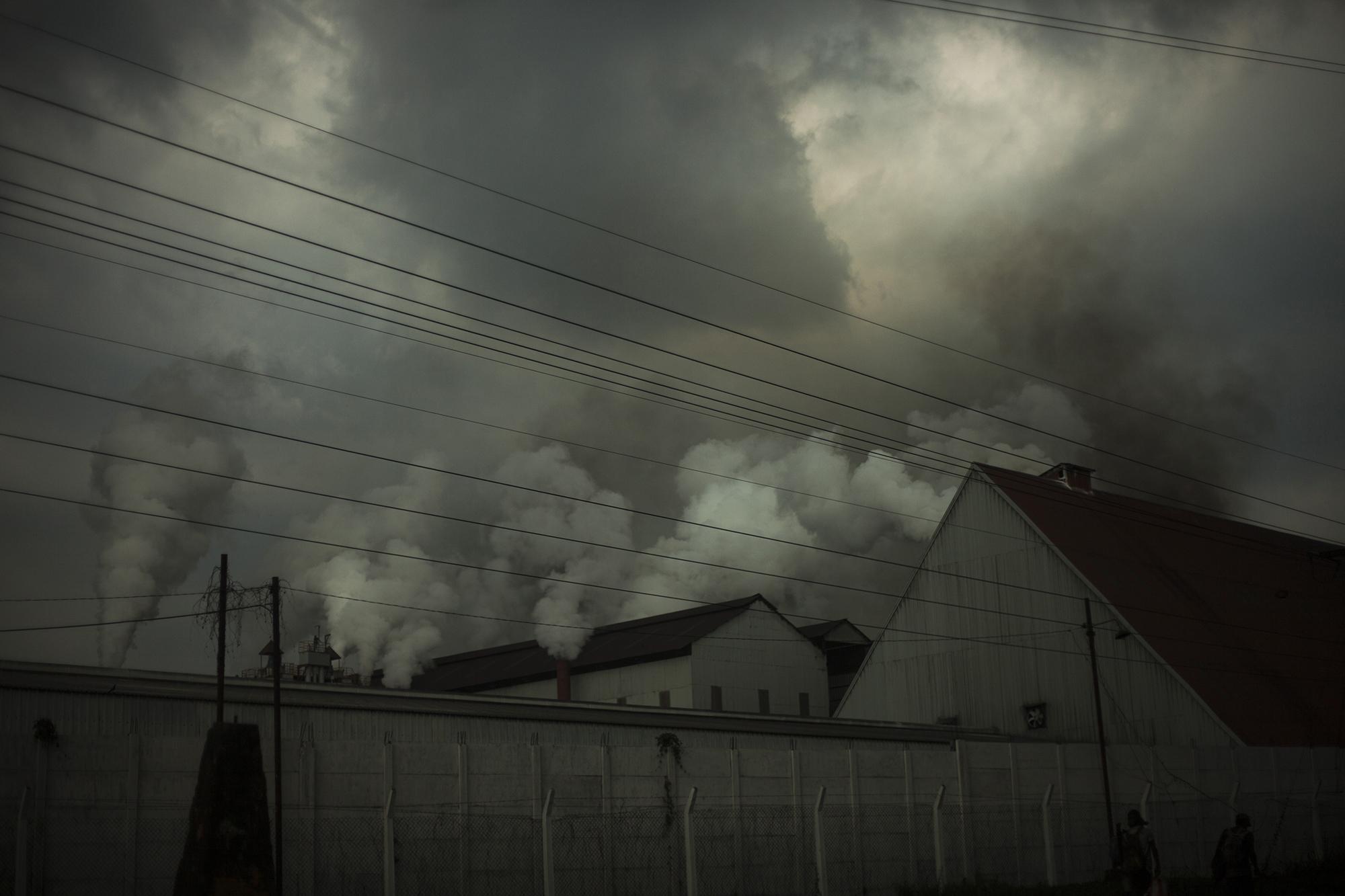 La industria azucarera en Guatemala aporta 1,900 millones de dólares anuales a la economía nacional. Está compuesta de 12 ingenios activos, y muchos de ellos han incursionado en la generación de energía eléctrica. El ingenio El Pilar, de la familia Weissenberg Campollo, se convirtió en el sexto productor más grande de azúcar en la cosecha 2015-2016.