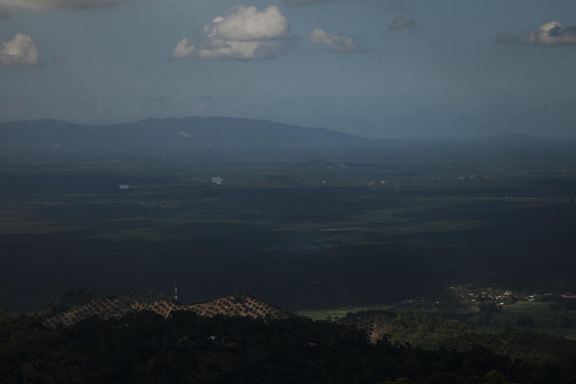 Desde la cima de la aldea Brisas del Norte, en el municipio de El Progreso, se aprecia una parte de las casi 150 mil hectáreas de palma africana plantadas en territorio hondureño. Este es el corredor atlántico de Honduras, el límite entre los departamentos de Yoro y Atlántida, y que alberga a una de las cooperativas de extracción más grande de aceite, Hondupalma.