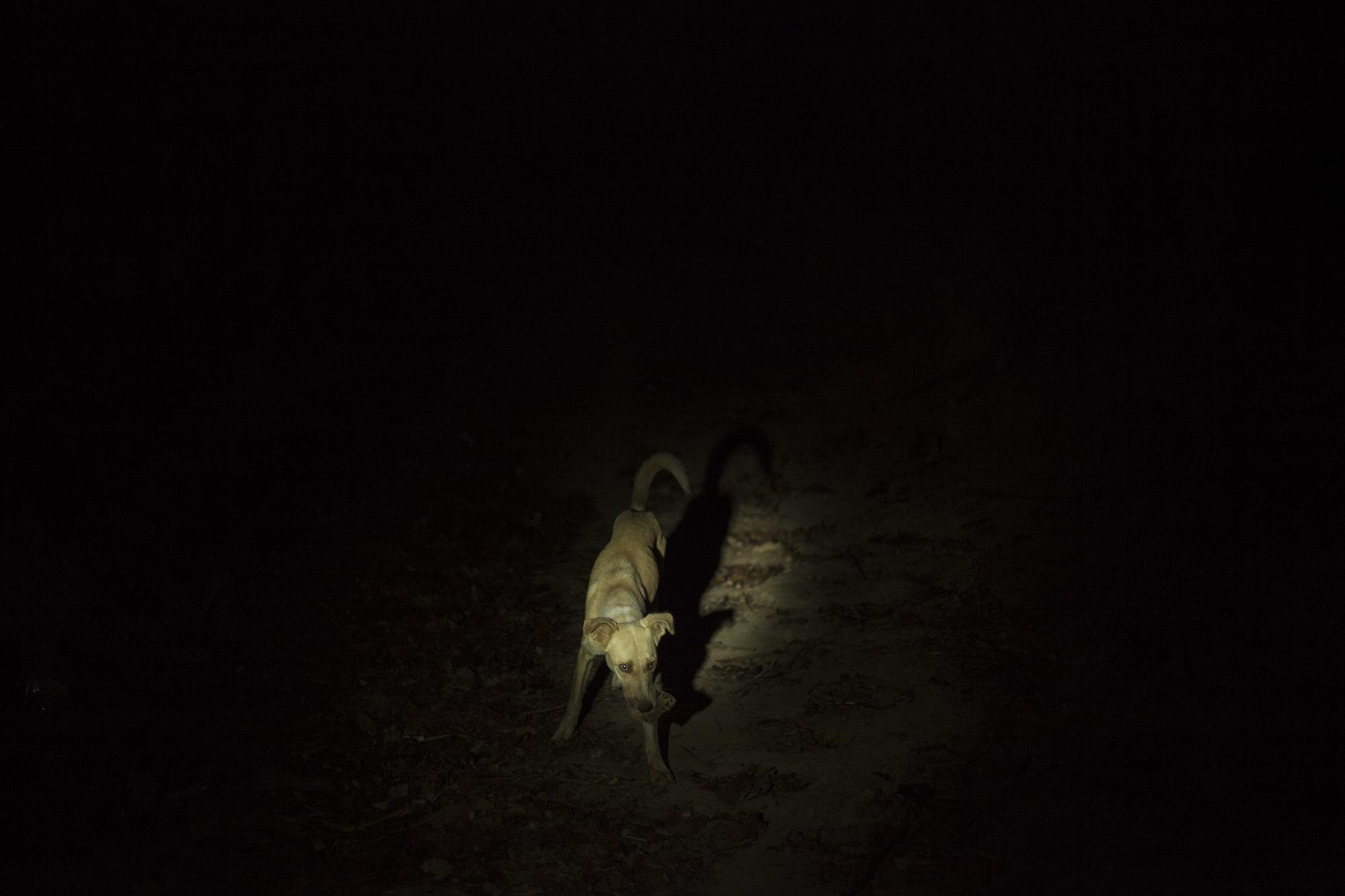 Cuando cae la noche, por los caminos de la comunidad solo deambulan los perros. El pueblo de Gualococti, en línea recta, está a solo kilómetro y medio de la comunidad, pero a solo un kilómetro están los cables con electricidad más cercanos, que son los que bordean la carretera Longitudinal del Norte.