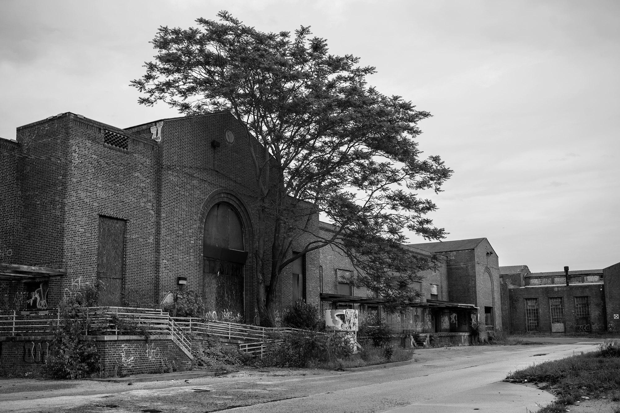 Edificios abandonados del complejo hospitalario psiquiátrico de Pilgrim en el condado de Nassau. En esta zona fueron encontrados dos cadáveres en septiembre de 2016 asesinados por miembros de la Mara Salvatrucha, según la versión policial. Foto de Edu Ponces / Ruido Photo. Vea el fotorreportaje que acompaña esta entrega: 