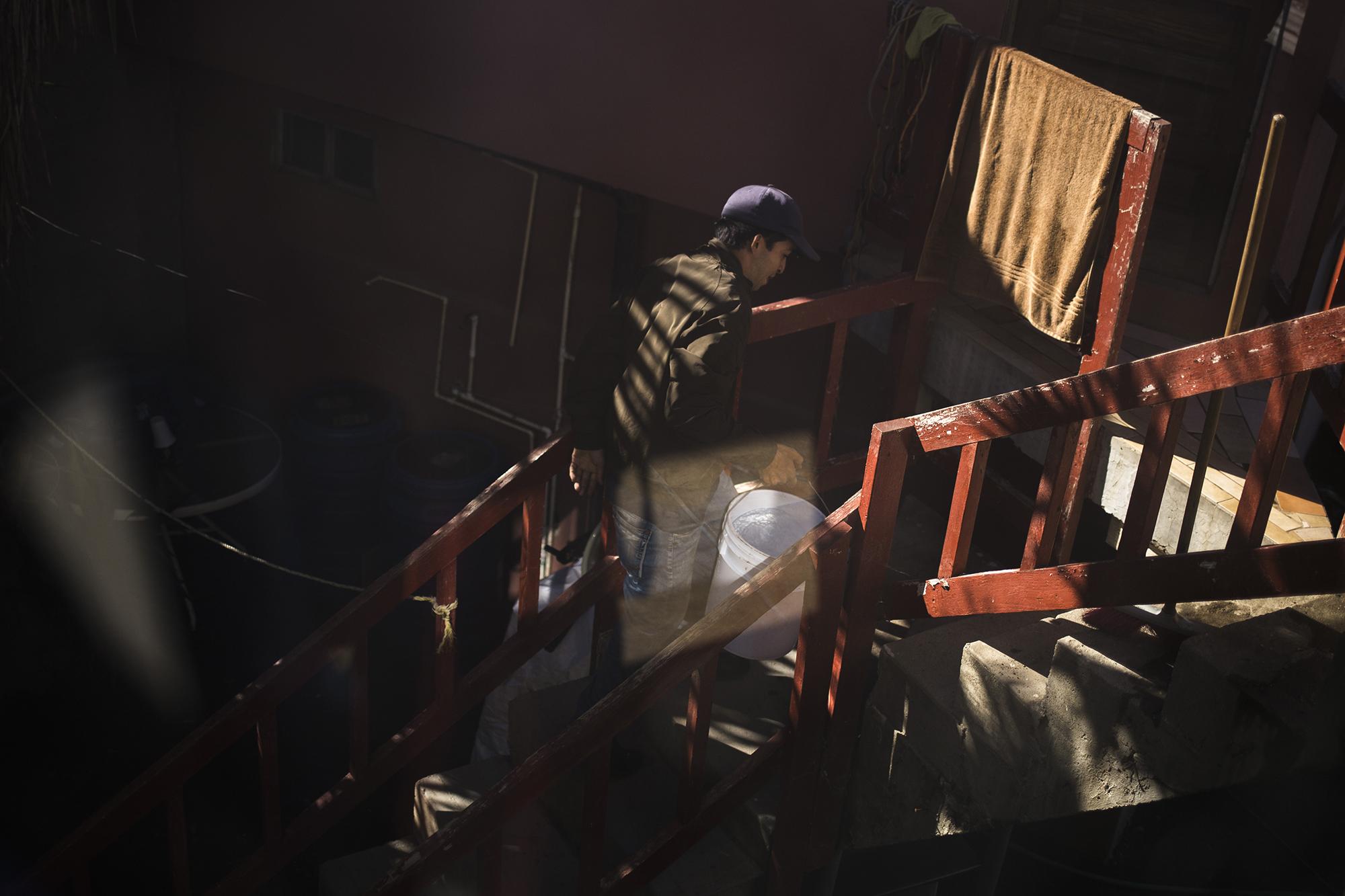 Francisco Díaz, de 29 años, es originario del municipio de Nahuizalco, en el departamento de Sonsonate, El Salvador. Trabaja en la reparación del cielo falso y el sistema eléctrico de un apartamento en el que vive a cambio de su jornada laboral. Francisco ya tiene su carnet para aplicar a un trabajo formal en México. Piensa establecerse en Tijuana, ahorrar dinero y luego cruzar la línea para llegar a Estados Unidos.