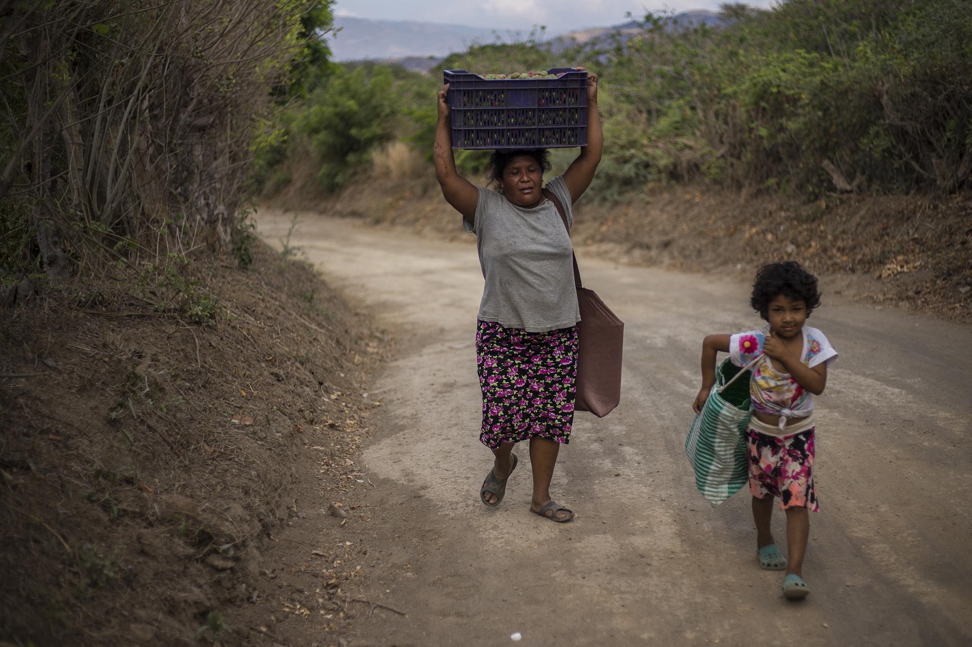 Caminaron 20 minutos juntas. Francisca Hernández, 40 años, recorre todos los días calles polvosas para llegar a su terreno de una manzana. Siempre le acompaña Hilda, su hija de cinco años, que esta vez carga con la canasta para guardar jocotes. Francisca y su familia esperan la cosecha con ansias cada mes de abril, para ganar algún dinero como recolectoras. En tiempos normales, vendían por $25 cada canasta como la que carga Francisca en la imagen. Ahora solo reciben cinco. Si la calidad es menor, el distribuidor paga solo tres. Ellas son parte de una familia de cuatro integrantes, viven en el caserío Sanarate, del cantón El Jicaral, a unos pasos de la frontera con Guatemala.