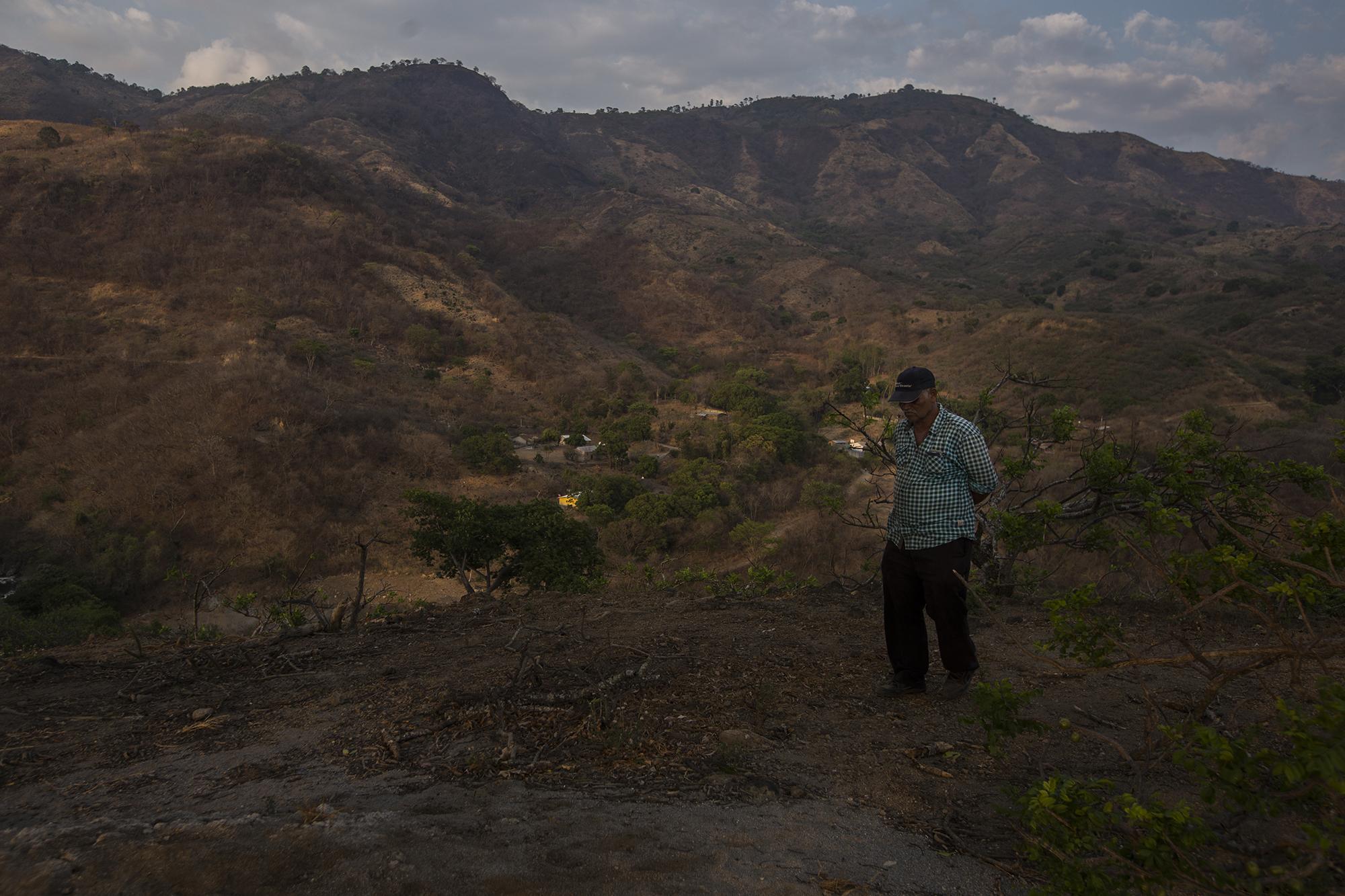 Álvaro Ascencio se pasea por sus terrenos del lado salvadoreño. Enfrente está la aldea Las Flores, del municipio de Zapotitlán, Guatemala. Allá hay más de 60 manzanas de cultivo que le pertenecen. Toda la cosecha del lado guatemalteco se perdió. Álvaro, de 60 años, es el mayor productor de jocote del municipio. Sus nueve hijos viven del mismo negocio que él inició hace más de 20 años.