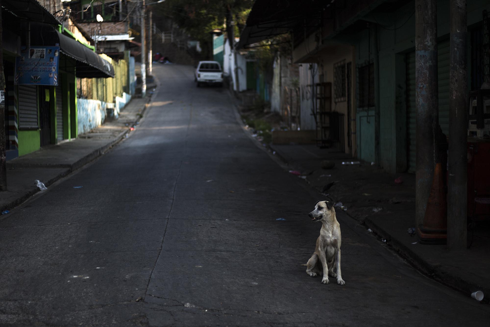 Entre las calles solitarias, algunos habitantes se asomaban a sus puertas. Preguntaban por tiendas o supermercados abiertos. La decisión del Gobierno tomó a los habitantes por sorpresa. Nadie esperaba despertar con una ciudad sitiada.