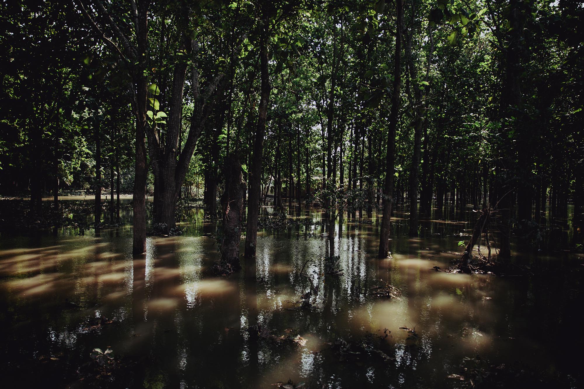 El agua se ha mantenido estancada después de una semana de que la tormenta tropical Eta saliera del territorio hondureño. En muchos sectores como en la aldea La Bueso de Bajos de Choloma el agua se ha mantenido a casi el mismo nivel que inmediatamente tras la tormenta, según cuentan los habitantes. Allí no solo están lidiando con la perdida de cultivos, ahora para muchos existe el temor de enfermar de dengue por la proliferación de mosquitos en el lugar.