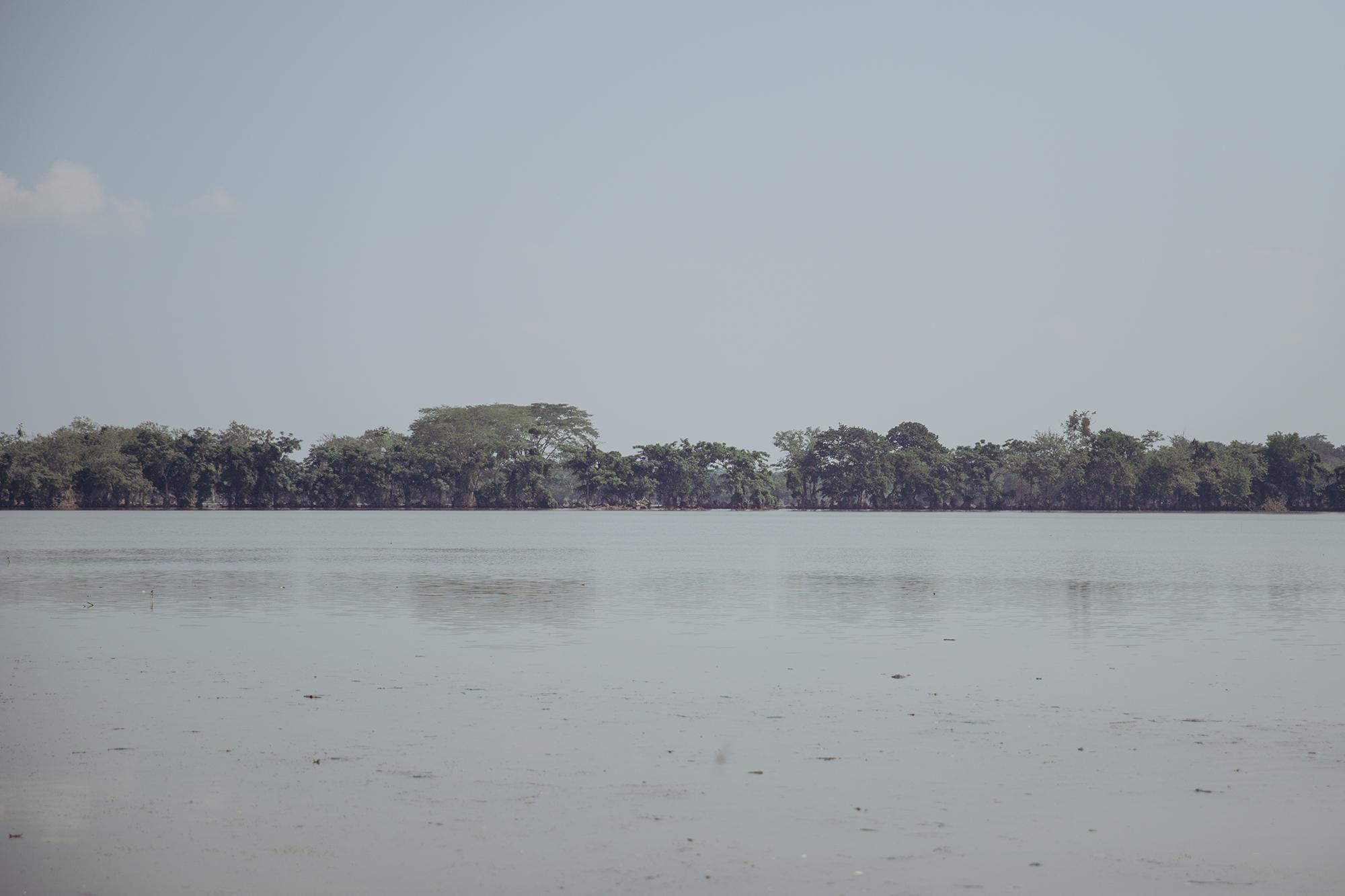 Antes de la tormenta Eta este era un campo de cultivo de zacate que sirve para generar energía eléctrica, después de una semana el nivel de agua se ha mantenido y los campos de caña de azúcar, zacate y banano fueron destruidos en Bajos de Choloma, Honduras Foto de El Faro: Carlos Barrera