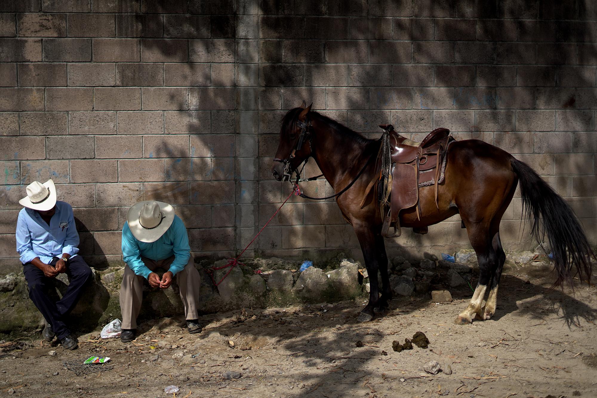 En el tiangue hay lugares asignados para las distintas clases de animales. En la sección de caballos, pequeños grupos se reúnen y se pasean de un lado a otro para negociar a sus bestias; otros montan y corren sobre una base de cemento, para probar su fuerza; unos solo se postran frente a una pared hasta lograr un cliente. En medio del ruido de los galopes, el relincho y los latigazos, un hombre bailaba con su caballo peruano, valorado en $3,500.