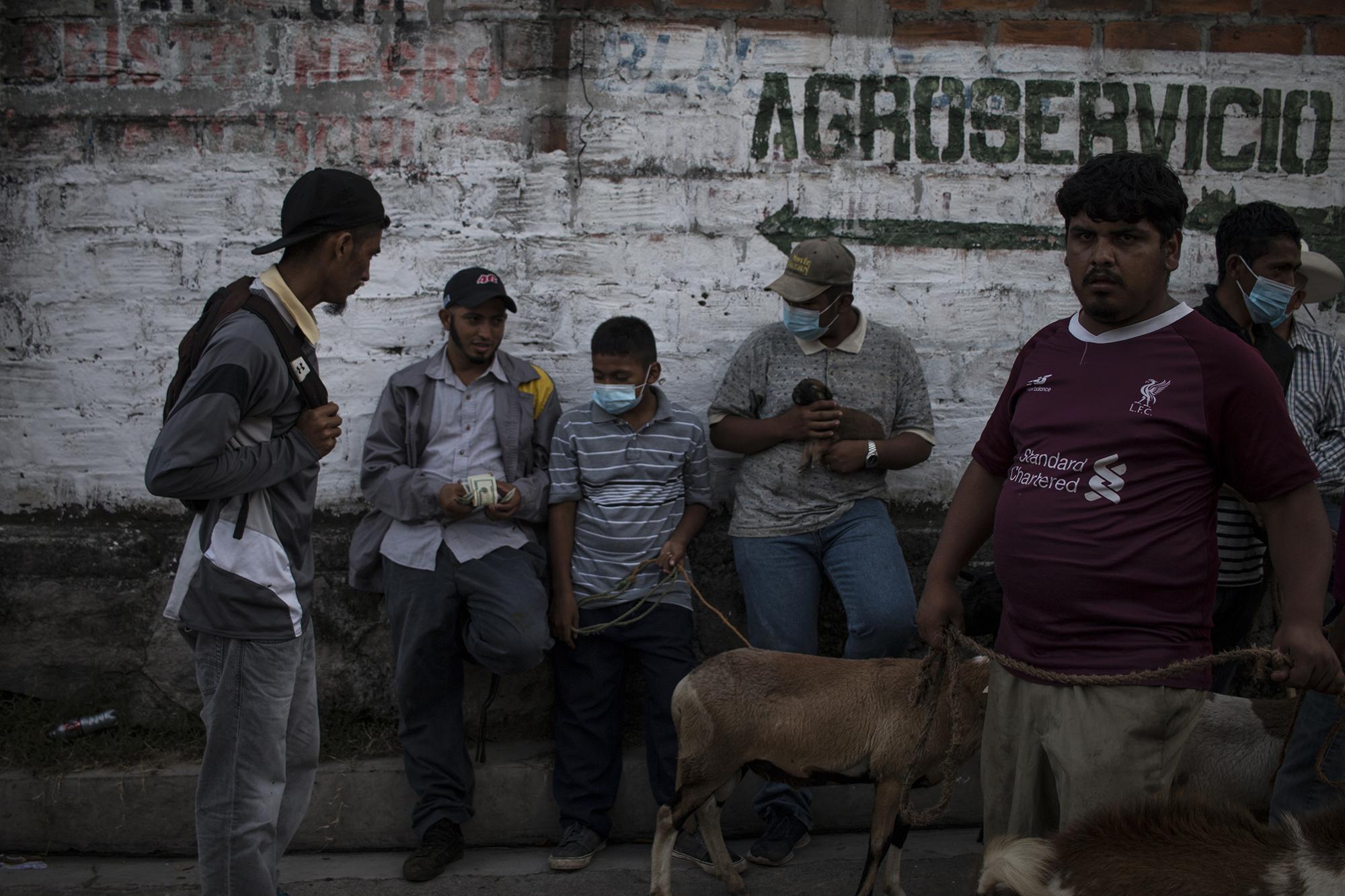 “Then you don’t want it? I already told you how much I’ll give you,” said Wílber (second from the left, with money in hand) to a seller who walked a goat through the whole tiangue. “The other one will give you thirty-five,” he repeated. The seller responded: “No, and you know why I don’t give them to you, because the other day I got shorted. Add five more, if you want.” For Wílber, 30, there was no deal that morning. For the last 20 years he’s travelled every Saturday from the municipality of San Jorge in San Miguel to try to make a living. “The truth is that I don’t know about this Bitcoin thing and I don’t even know what to tell you. We don’t know how we’re going to use it.”