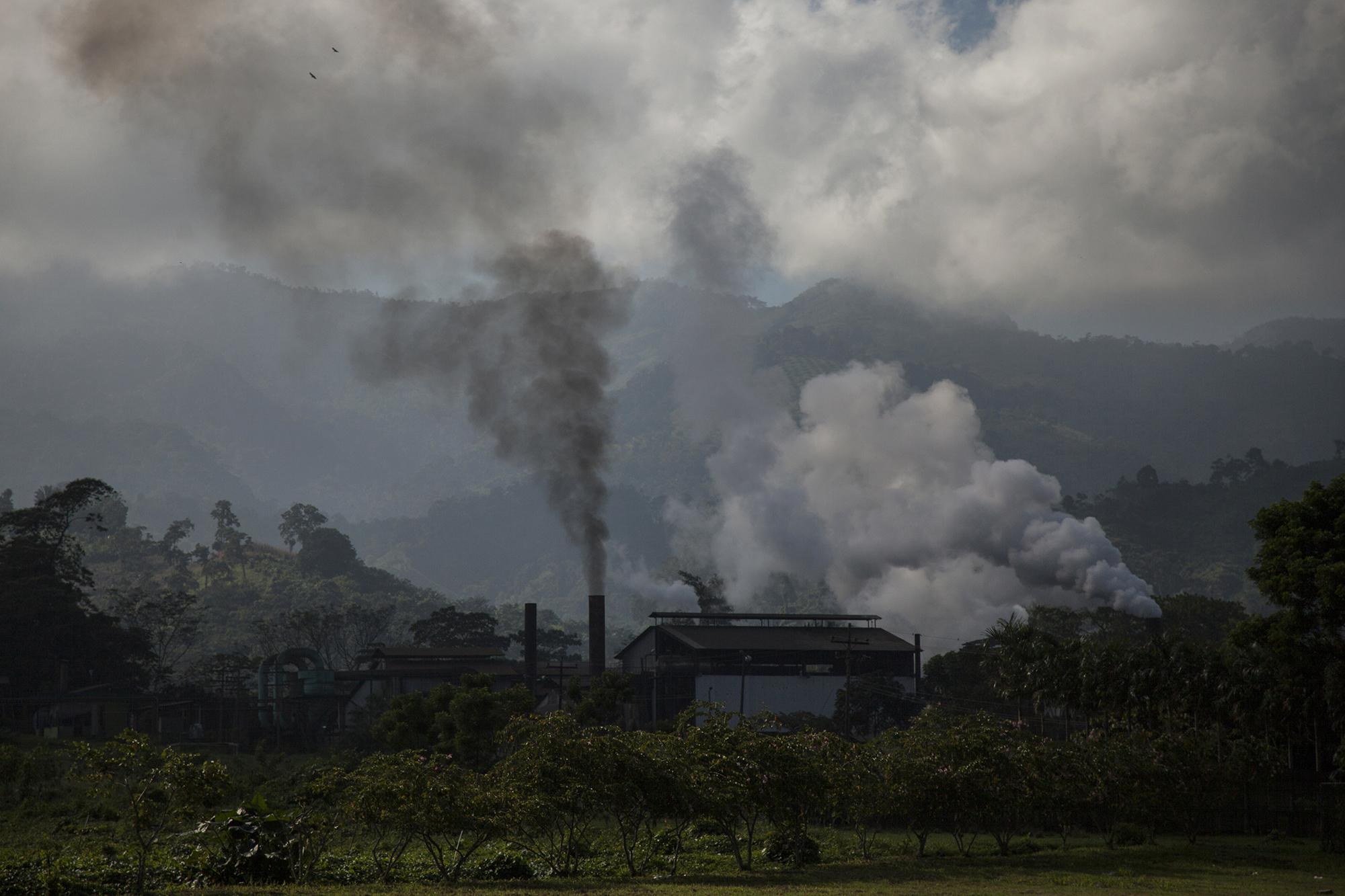 Las plantas extractoras de aceite y la palma africana abundan en el corredor Atlántico de Honduras. Sus desechos llegan hasta los mantos acuíferos, entre ellos el río Aguán. Foto de El Faro: Víctor Peña.