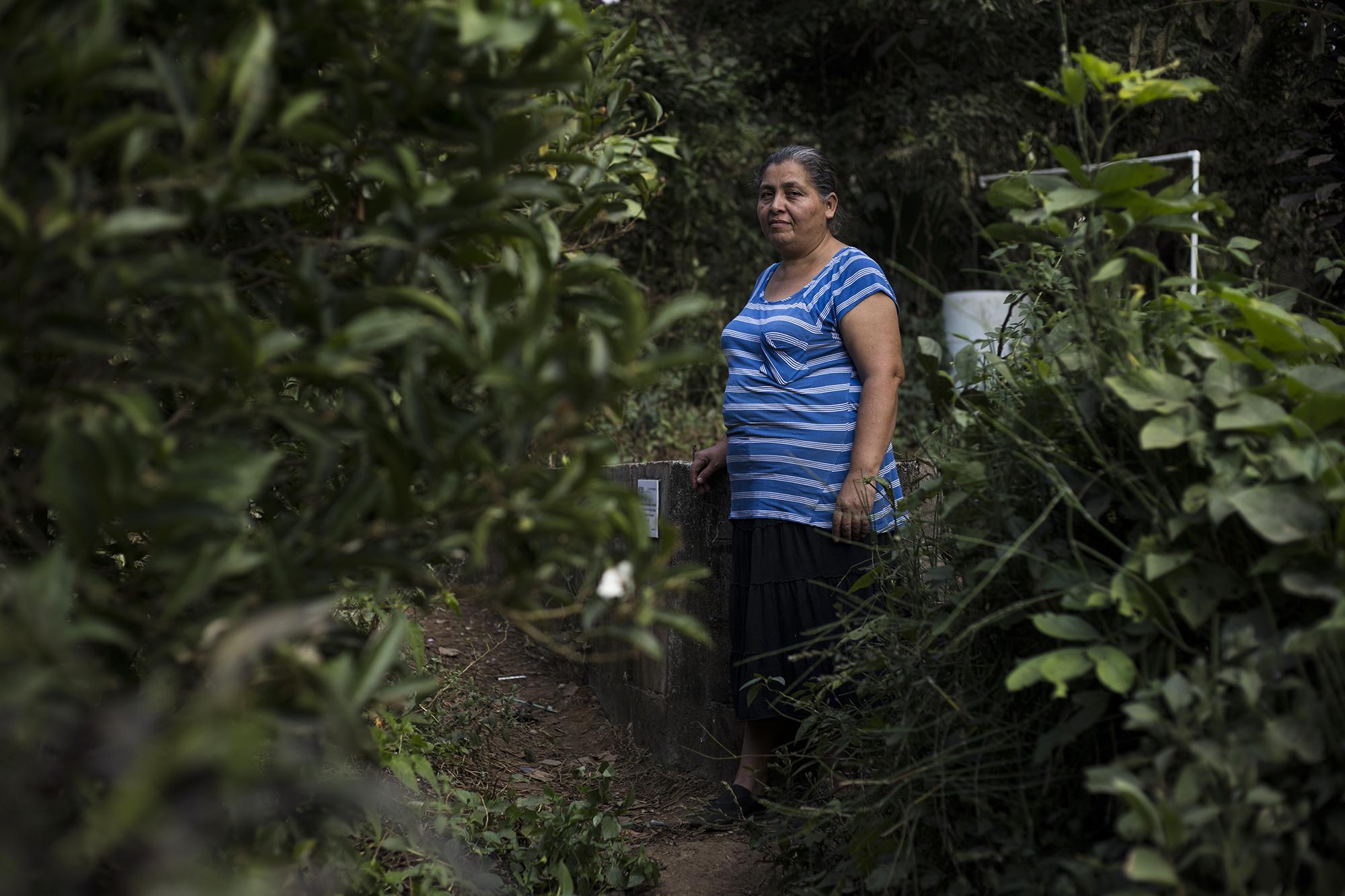 Maura Díaz es la presidenta de la Asociación de Mujeres de la hacienda La Labor. Ella dirige a un grupo de mujeres que hace 10 años comenzó a trabajar por su comunidad, y ahora cultivan tilapia, que para ella genera la mejor ganancia: seguridad alimentaria. “Esa construcción de casas será un impacto, es un problema que se nos va a venir. De ese nacimiento tenemos un charquito de agua, pero es nuestro y abastece a casi 12,000 personas”, dice Maura.