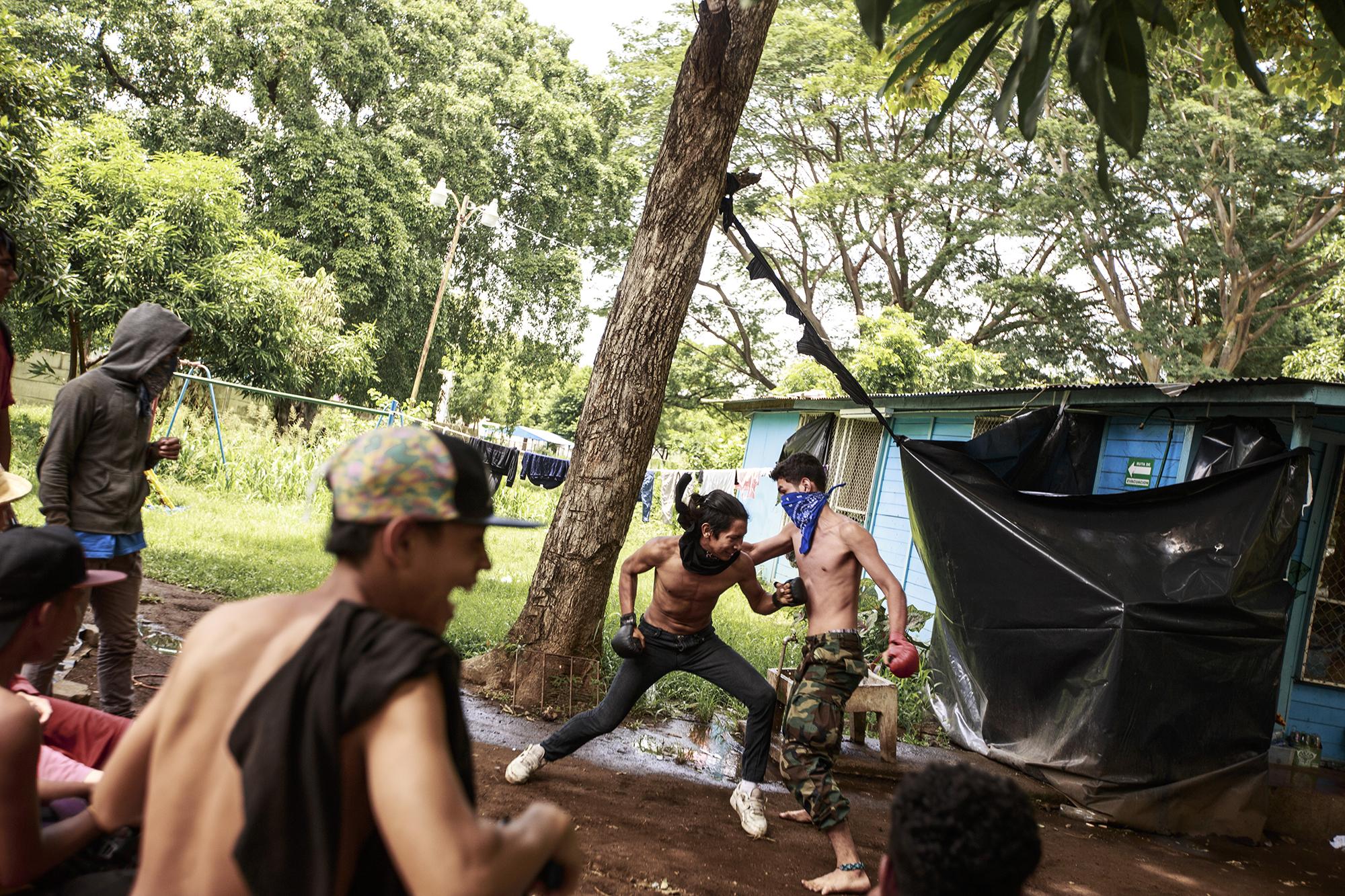 Students blow off steam practicing boxing on university grounds. June 27, 2018.