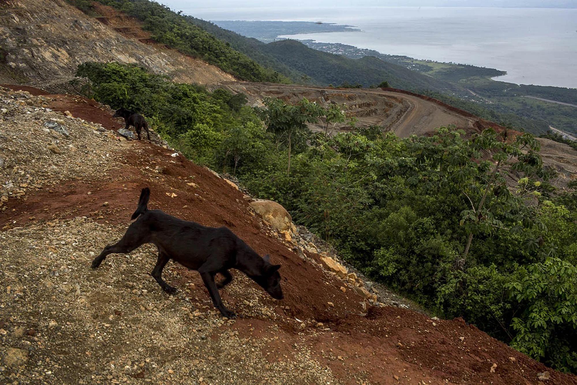 El panorama del municipio de El Estor frente al lago de Izabal, desde una montaña de propiedad del proyecto minero Fénix. Foto cortesía: Simone Dalmasso/ Plaza Pública.