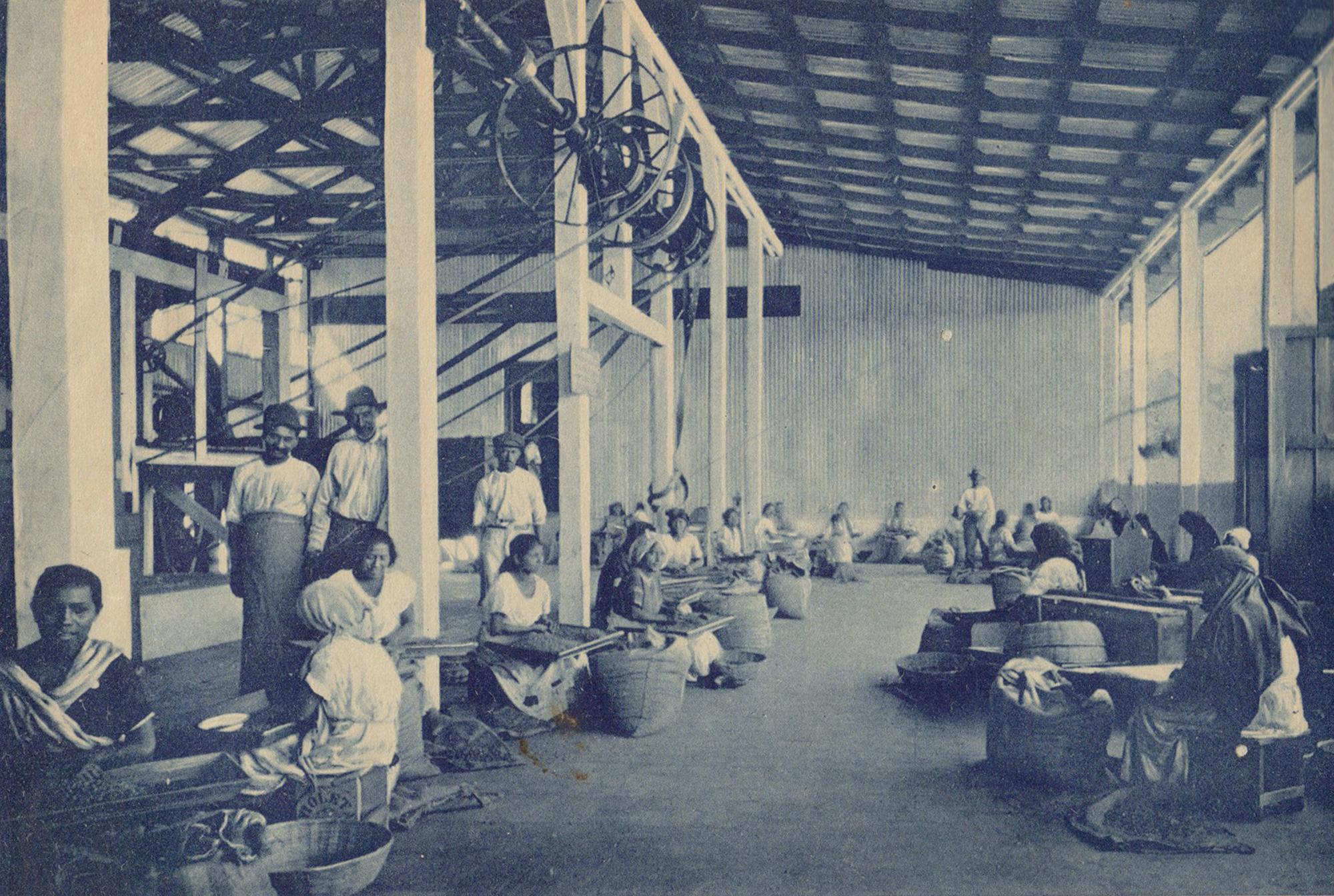 Mujeres limpiando café. Fuente: 200 fotografías de la República de El Salvador (San Salvador, 1924).