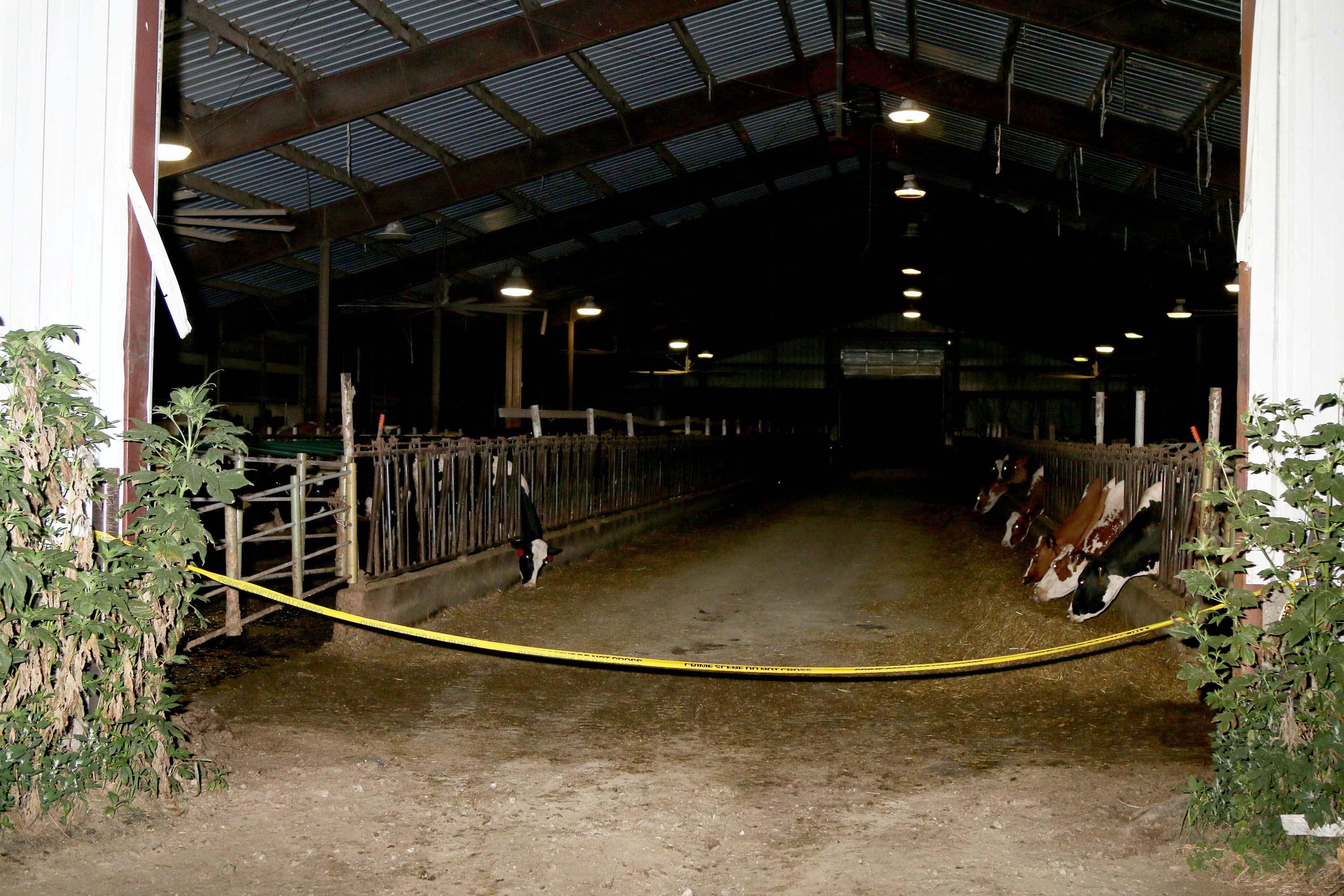 A barn at the D&K Dairy farm, sealed by investigators the night Jefferson Rodriguez died. Photo by El Faro: Dane County Sheriff