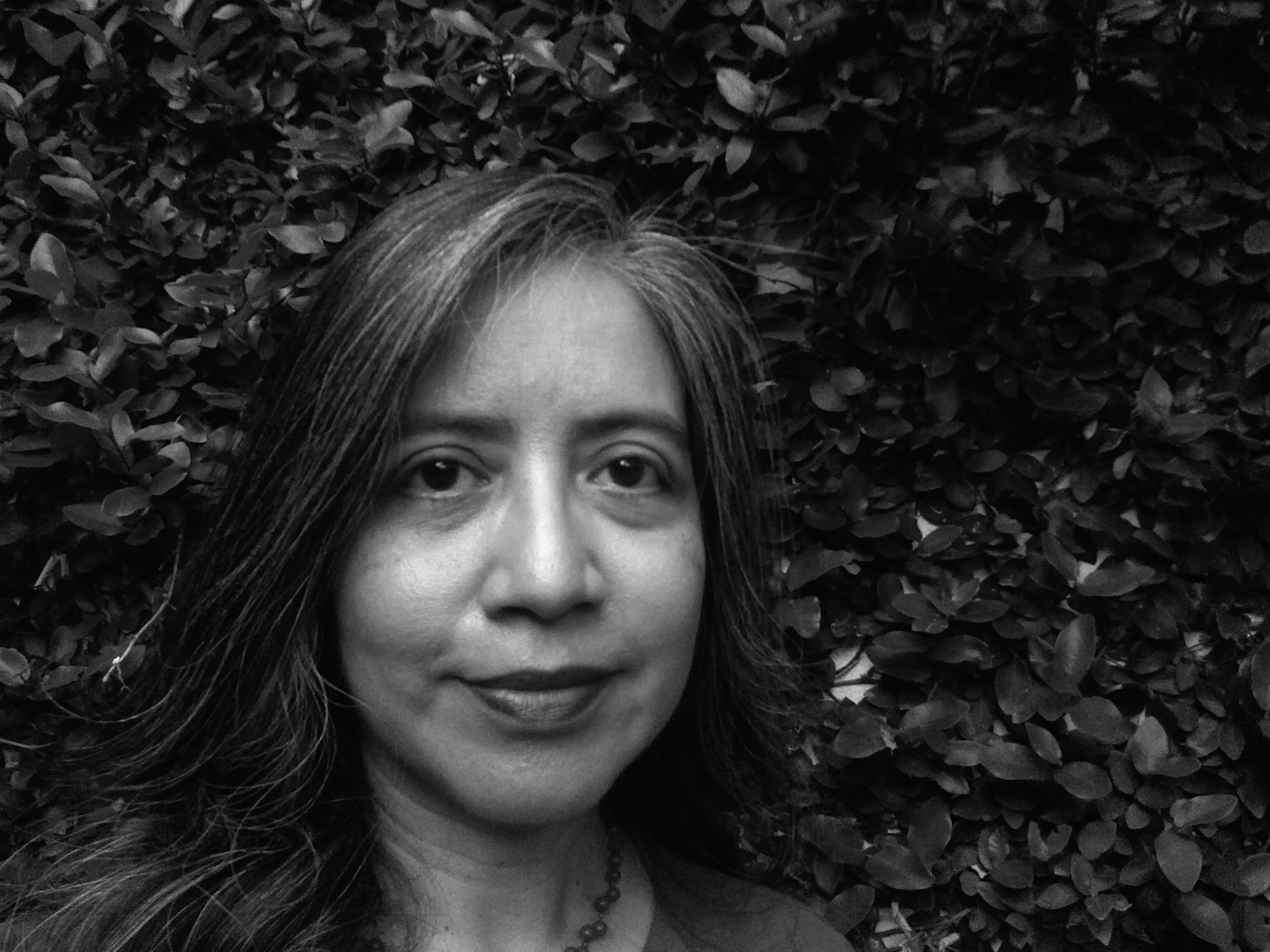 Sandra Gutiérrez Poizat es arquitecta por la Universidad Centroamericana José Simeón Cañas. Posee una Maestría en Diseño Urbano, con especialidad en Espacios públicos, por la Universidad Tecnológica de Delft, en Holanda. Ha sido becaria Fulbright-Humphrey, desempeñándose como Research Fellow en el Instituto Tecnológico de Massachusetts (MIT) y la Universidad de Harvard, en Estados Unidos. Su trabajo combina la práctica urbana con la docencia e investigación, especializándose en temáticas relacionadas con agua y ciudad, ciudades sostenibles y espacios públicos.