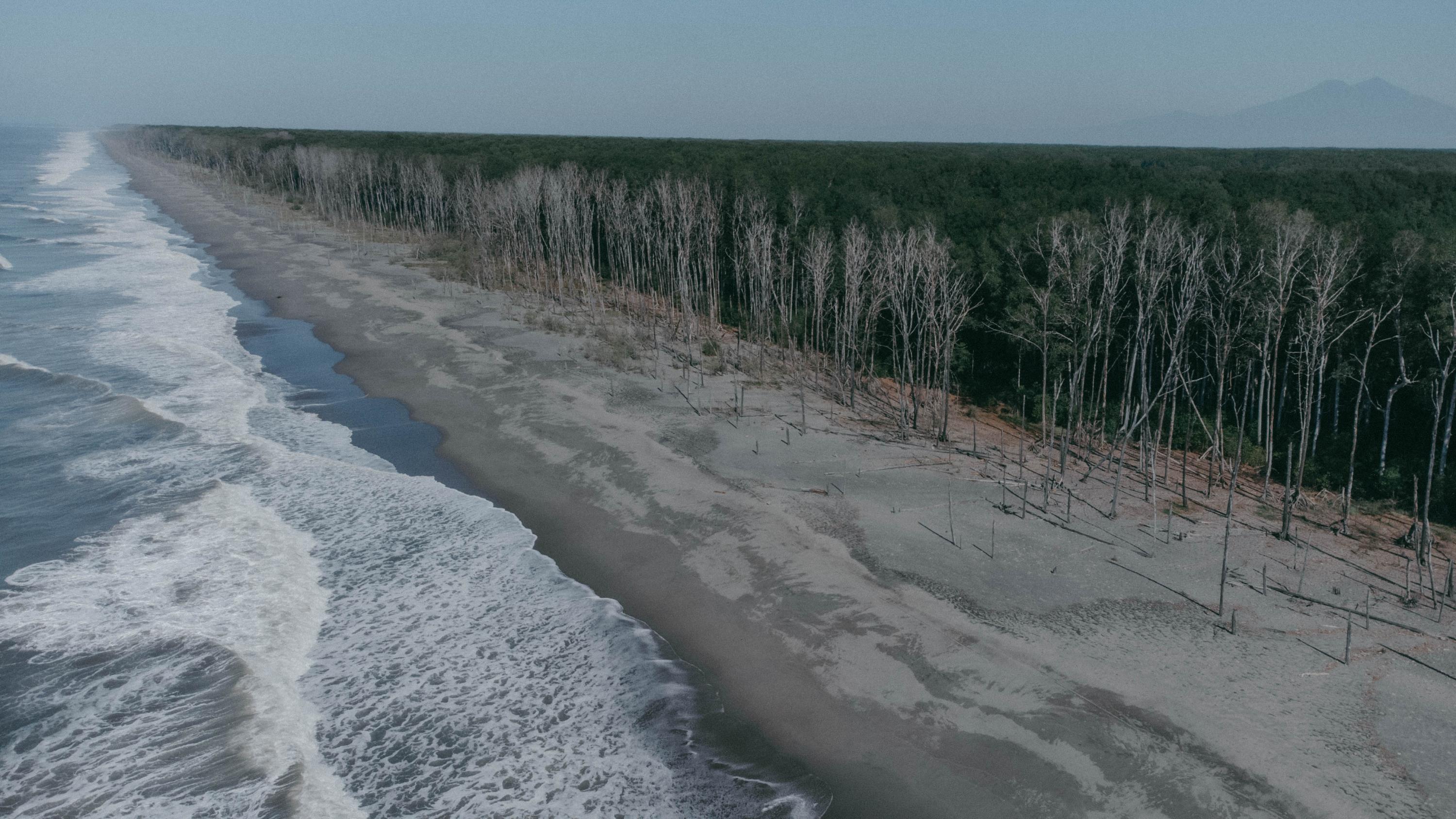 Más de tres kilómetros de bosque de manglar han muerto desde el 2010 en la zona más occidental de la península San Juan de Gozo, Jiquilisco. En el lugar convergen dos de los principales problemas que según la Asociación Mangle han impactado la vida y biodiversidad del manglar. La primera causa, según un estudio de Texas A&M University, es que su cercanía con la desembocadura del Río Lempa deja al manglar expuesto a alta carga de sedimentos y cambios geográficos en el paisaje costero; el segundo es que a causa del aumento en el oleaje y el nivel del mar, los sedimentos marinos son arrastrados hasta la orilla, creando playas más extensas, llevando una mayor carga de salinidad a los manglares salobres, es decir aquellos que poseen una mezcla de agua dulce y salada.