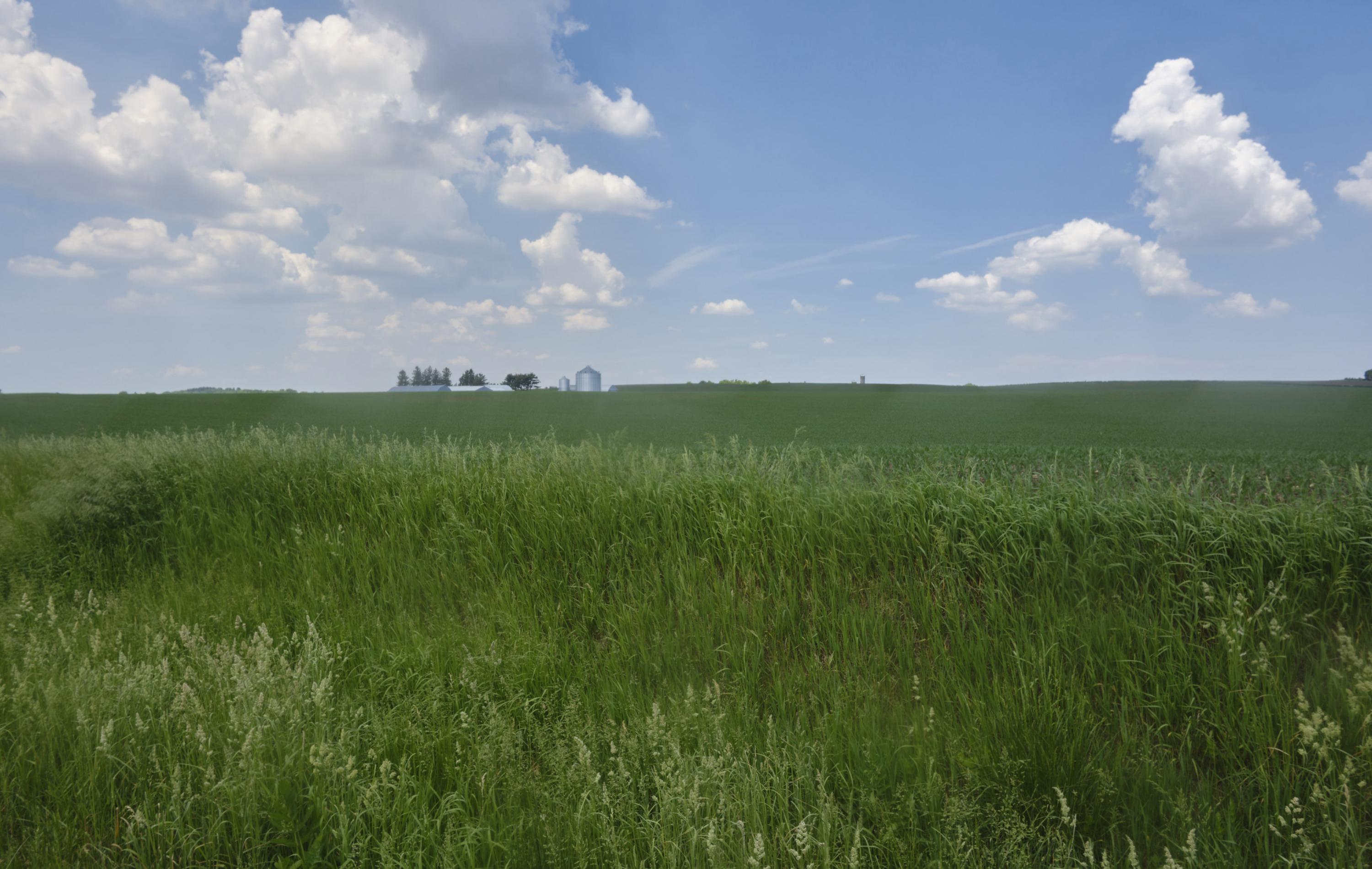 A dairy farm in south-central Wisconsin. Caleb Santiago Alvarado for ProPublica