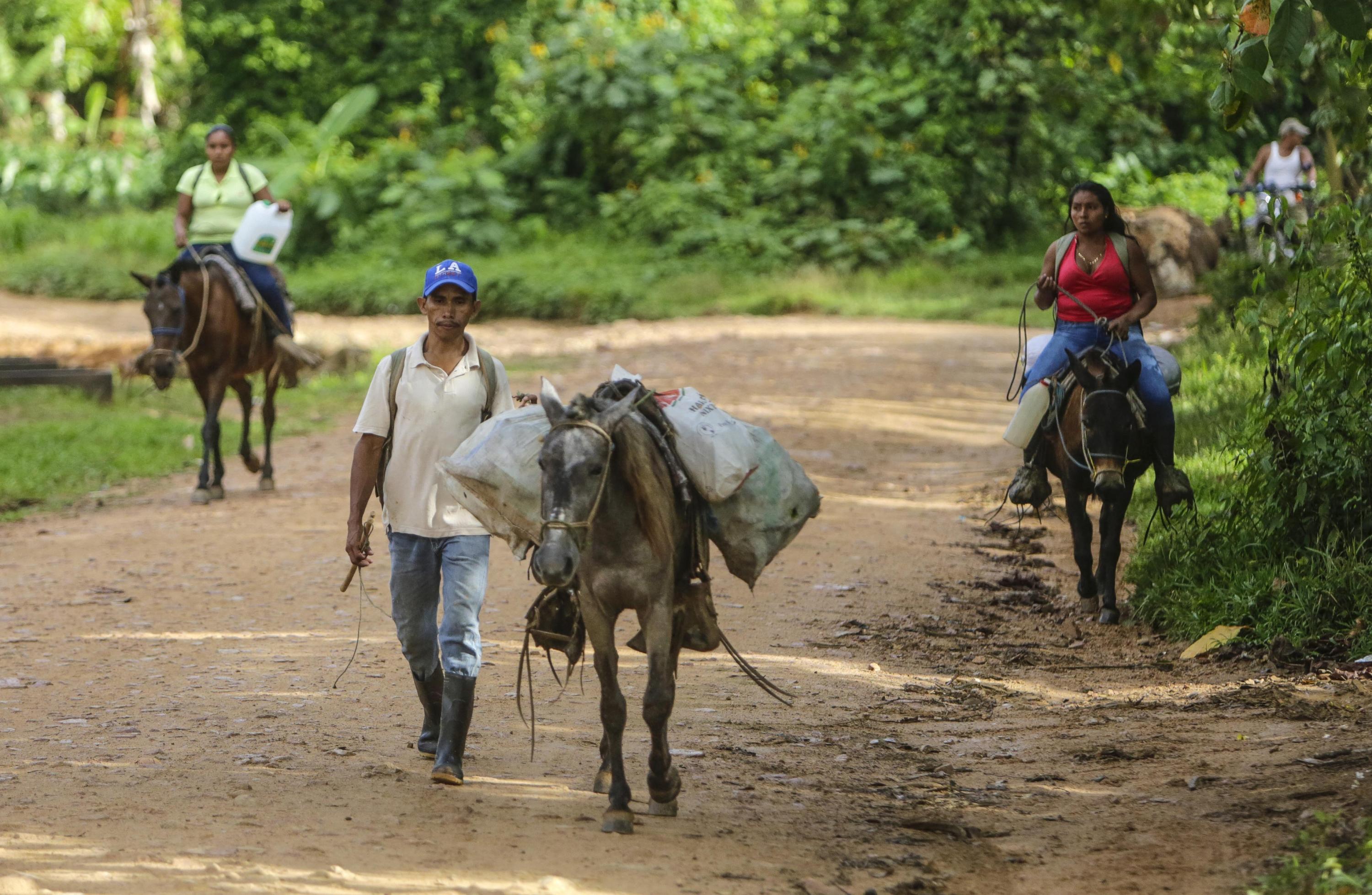 Local peasants walk with their horses and mules loaded with sacks of rock and sand near the IRON gold mine near the town of Rosita in northeast Nicaragua, on Mar. 6, 2017. The authorities in Rosita had granted three concessions to foreign mining corporations. Photo Inti Ocon/AFP