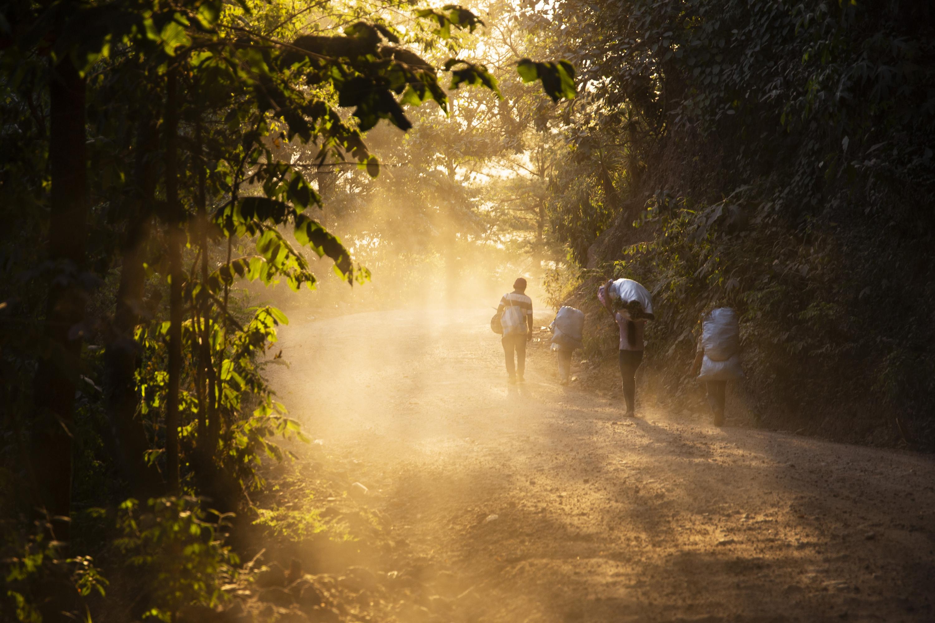 Una familia regresa a su hogar después de una jornada de trabajo. Es una estampa de las comunidades rurales de Guatemala, donde adultos y niños se involucran en las actividades agrícolas. Esas áreas están ubicadas en el corazón del Corredor Seco de Centroamérica, que fueron golpeadas con mayor fuerza por la crisis climática de los últimos años. La ausencia de lluvias debilitó las cosechas y destruyó la autonomía de esas familias. Muchos pobladores creen que 2024 será mejor porque ha llovido más; que habrá mejor producción agrícola; que habrá cosecha y felicidad para todos. “Sin alimento digno no se puede vivir. Y seamos honestos, aquí sólo vivimos de frijoles y maíz. No es digno, es sobrevivir. Eso hacemos todos los días. Es el mayor flagelo para nuestra niñez. Los mayores resistimos, pero los niños no sobreviven”, concluye Israel Ramírez.