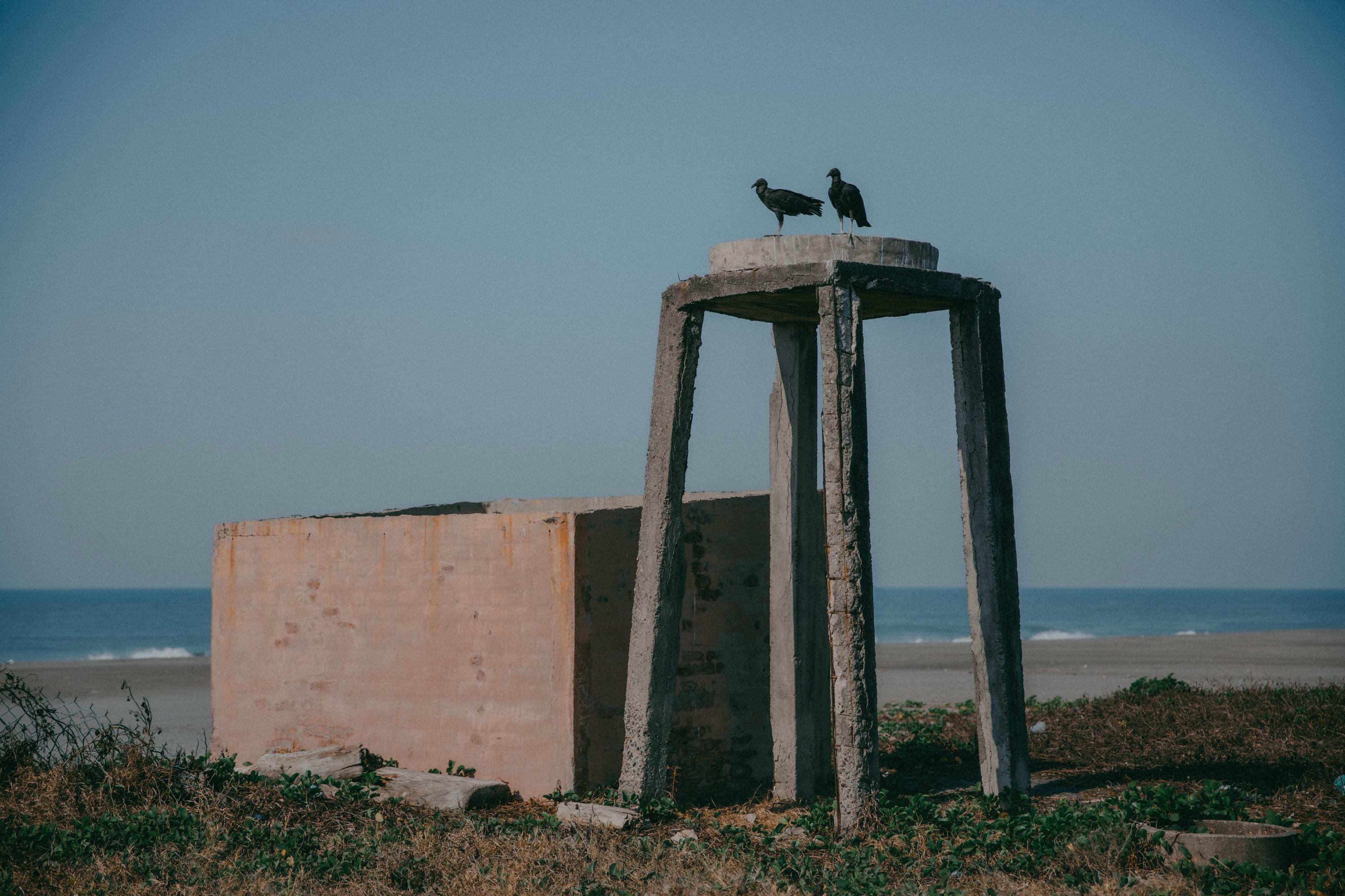 Hace años, estas estructuras fueron casas que estaban habitadas en la playa cercana al manglar y fueron azotadas por la marea. Según proyecciones de la NASA, desde el 2020 el nivel del mar crece 4.3 milímetros según los registros de Acajutla y 4 milímetros por año según el registro de la Unión. En el país, las proyecciones del aumento del nivel de mar se realizan desde hace 4 años, pero a nivel mundial los estudios se iniciaron en los años 90 y solo en la última década el nivel global de mar aumentó 3,9 milímetros por año.