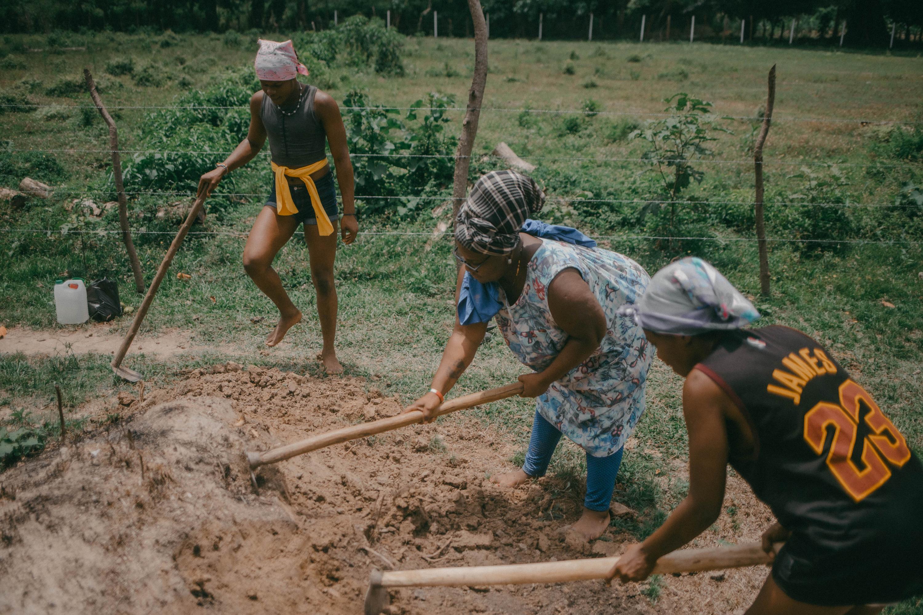 Aneth, Carolina y Landry trabajan en turno repartido durante la semana en una de las últimas recuperaciones de territorio en Santa Fe, Colón. El lugar funciona como refugio para las personas garífunas LGBTIQ+. Foto de El Faro: Carlos Barrera