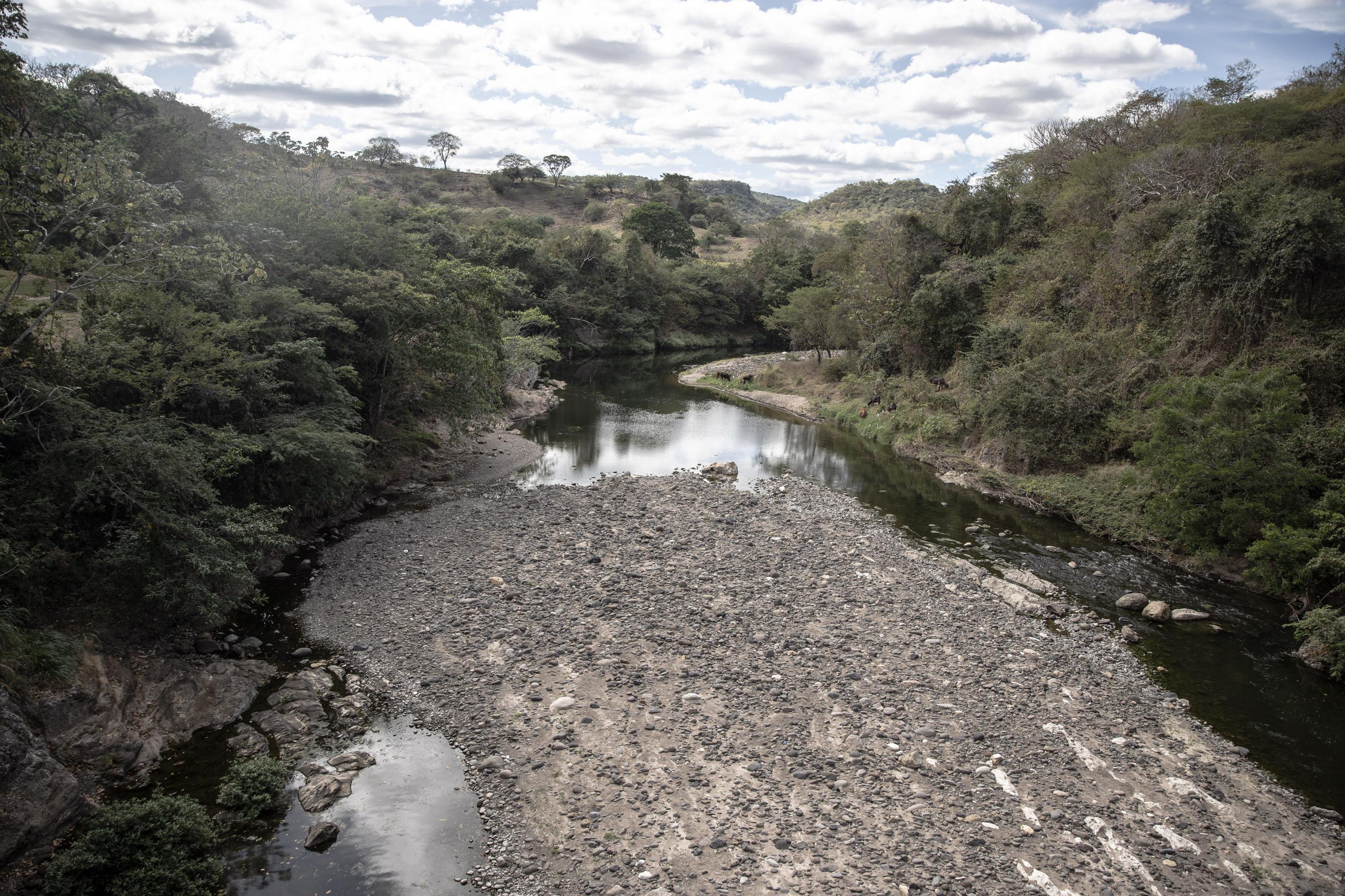 Según el Ministerio de Medio Ambiente y Recursos Naturales, el río Titihuapa pertenece a la Región Hidrográfica A formada por la cuenca del Río Lempa. Un estudio publicado en 2017 por el MARN reveló que la Región Hidrográfica A tenía los tres ríos más contaminados del país: Sucio, Suquiapa, Acelhuate; y, como único río que presentaba buena calidad, el Titihuapa. Foto de El Faro: Carlos Barrera