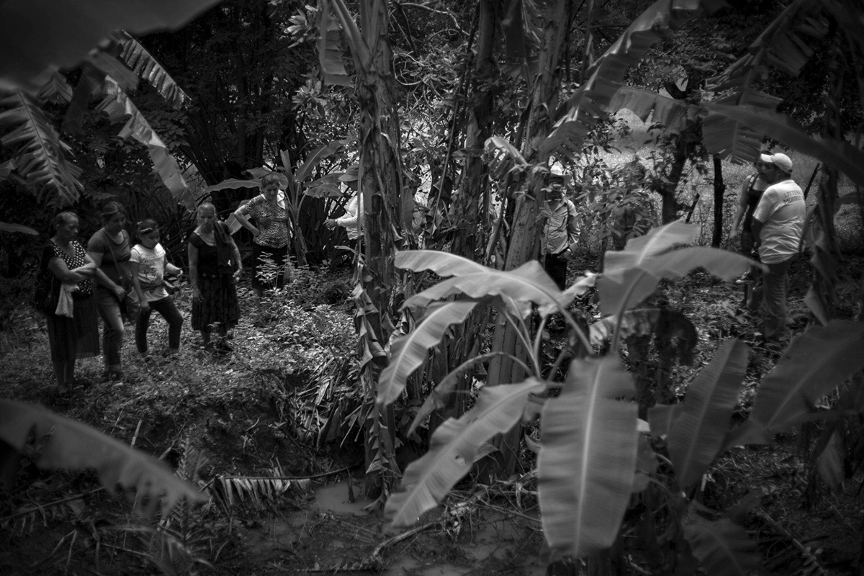 The grave where the victims of the 1980 Canoas massacre were buried, 36 years later, is an orchard surrounded by pastureland where cattle are fed about 30 meters from where the attack occurred. “We have walked up and down, enduring sun and water, to be able to bury our relatives, and even though they are in disarray we know they are there. It is time to let them rest in peace,” said Lorenzo Medina Zamora, leader of the community, in a tribute held in September 2016, in the place where the victims were buried for 27 years. Zamora lost his brother, Francisco, and his cousin, Esteban.