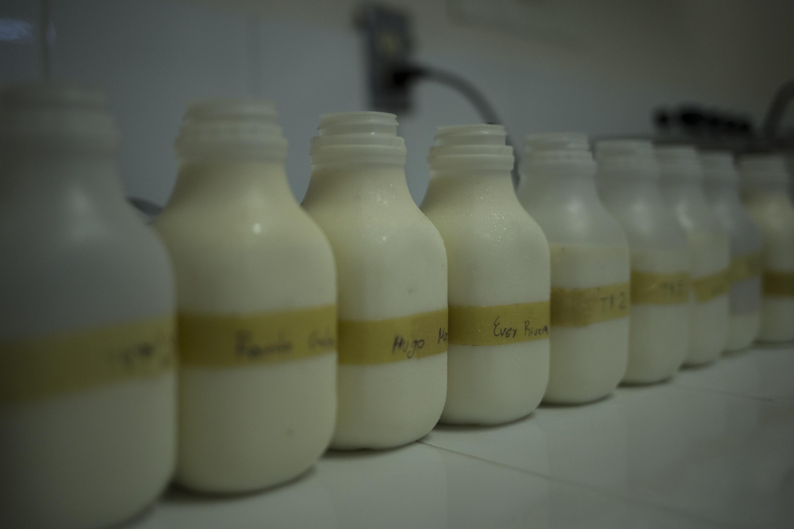 Muestras de la leche que entrega una cooperativa de ganaderos de Chalatenango a las escuelas de la zona. A diferencia de la que entrega un programa gubernamental en El Salvador, esta leche necesita estar siempre refrigerada. Foto: Víctor Peña.