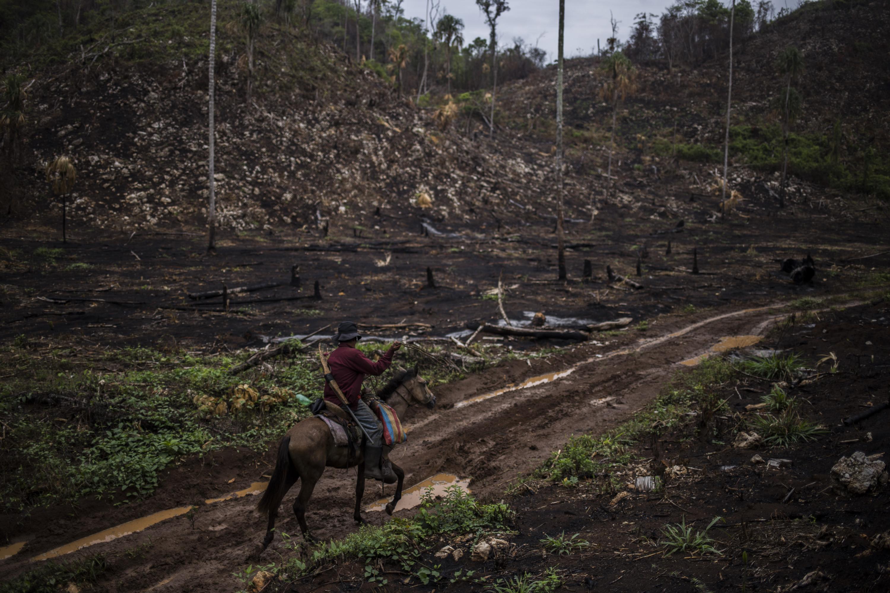 Recorrido en la zona fronteriza de Guatemala y México, que comprende el departamento de Petén en Guatemala, y los estados de Chiapas, Tabasco y Campeche en México. Comunidades abandonadas por los estados de ambos países, y con control territorial por grupos de narcotráfico, que controlan la dinámica de los pueblos, y que también controlan el tránsito de centroamericanos que viajan hacia Estados Unidos. Recorrido hacia y dentro de la aldea La Revancha, en el interior de la reserva del Lacandón. Esta imagen forma parte del especial 