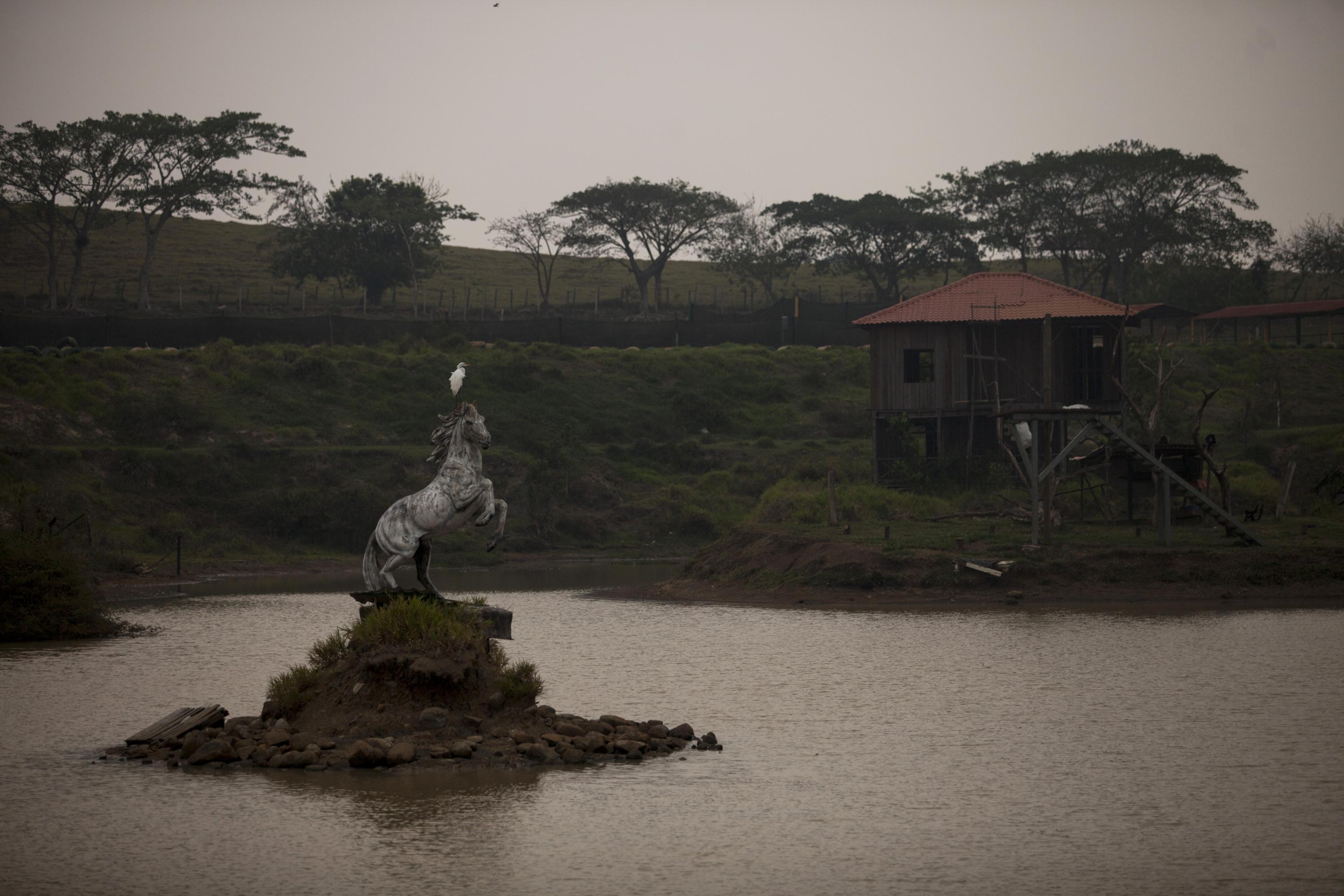 La escultura de un caballo que relincha decora el islote que se erosiona a pedazos en medio de la laguna. Foto de El Faro, por Víctor Peña.