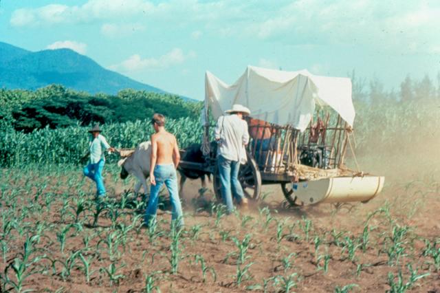 Un sofisticado radar de penetración terrestre del Servicio Geológico de Estados Unidos fue maniobrado por Zanate y Cubano, los dos bueyes que halaron la carreta guiada por Salvador Quintanilla durante las exploraciones inmediatas al descubriemiento de Joya de Cerén hace 36 años. / Foto proporcionada por la Editorial Universitaria de la UES.