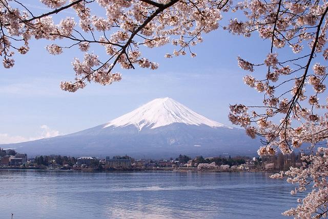 El lago Kawaguchi en primer plano, y al fondo, el majestuoso Monte Fuji, el volcán más alto de Japón. Foto Midori.