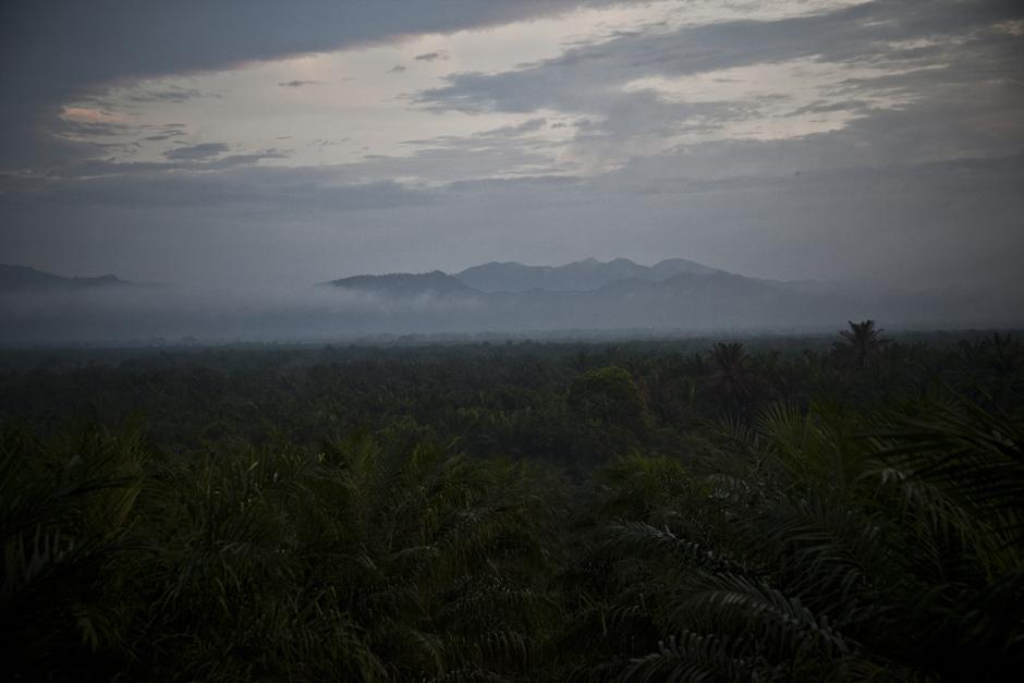 El río Aguan, un de los más importantes de Honduras, recorre 275 kilómetros por la franja norte del país hasta desembocar en las costas del Mar Caribe, atravesando los municipios de Tocoa y Trujillo, Colón. Su cuenca, de más de 10 mil kilómetros cuadrados, define una de las regiones más fértiles de Centroamérica. Gran parte de la zona baja de esta cuenca está destinada al cultivo de palma africana para la producción de un aceite vegetal que ha triplicado su precio en los últimos diez años﻿.