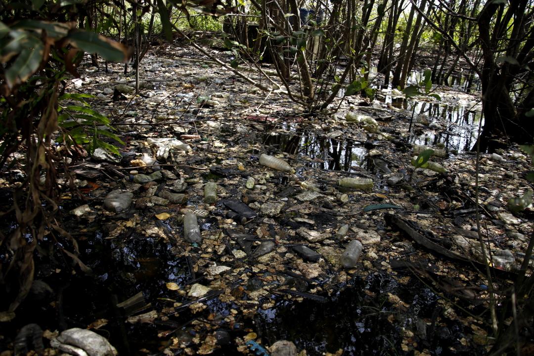 Garbage in Barra del Motagua where about 50 families still live. Photo: Martín Cálix