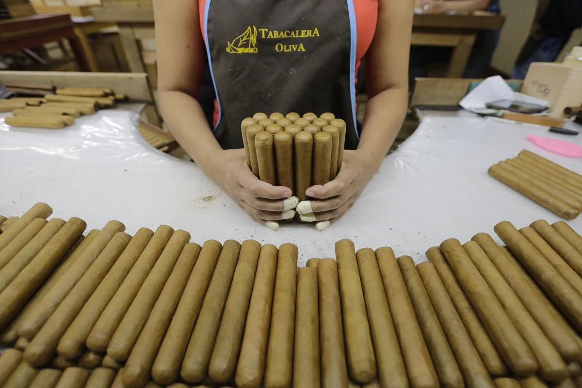 Una empleada agrupa un fajo de puros ya manufacturados. La ciudad de Estelí, a unos 150 kilómetros al norte de Managua, se ha convertido en epicentro de esta industria, que emplea a 35,000 personas y en 2016 exportó por valor de 200 millones de dólares. Foto Inti Ocón (AFP).