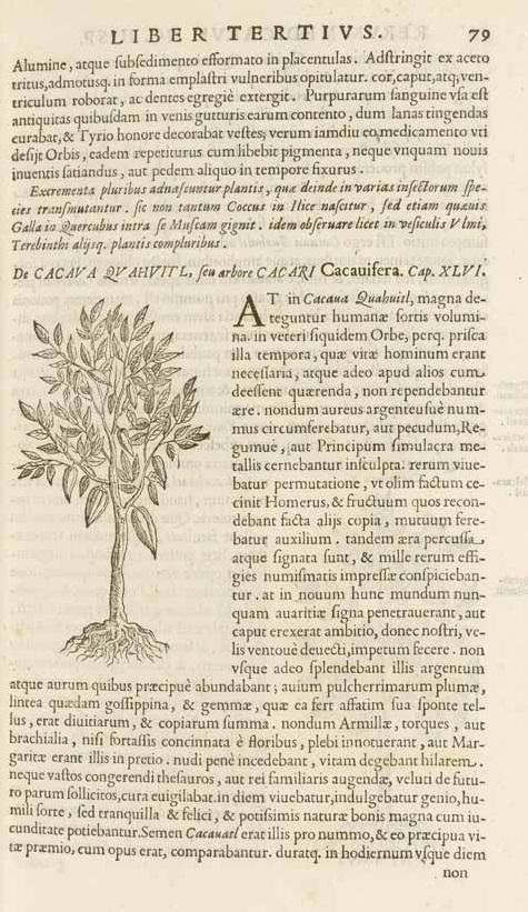 Hernández, Francisco. 1651. Nova plantarum, animalium et mineralium mexicanorum historia...Sumptibus Blasij Deuersini, & Zanobij Masotti Bibliopolarum . Typis Vitalis Mascardi: Roma, p.79. Colección de la biblioteca John Carter Brown de la Universidad de Brown.