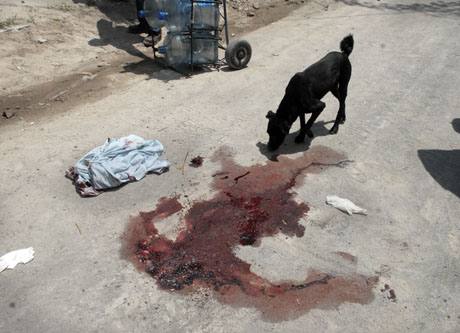 Un perro husmea la escena del crímen de jóven repartidor de pan en San Marcos, luego que el cuerpo fuera retirado por medicina forense. Marzo 2009. Foto Mauro Arias