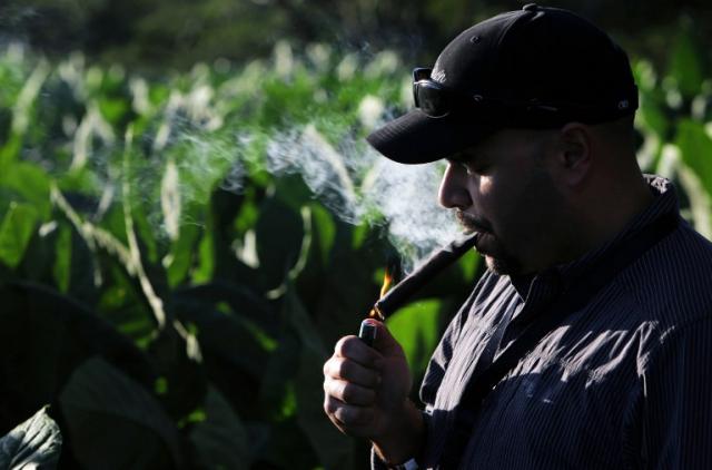 Un hombre disfruta un habano nicaragüense durante un tour por plantaciones en los alrededores de Estelí, como parte del III Festival Internacional del Tabaco. Foto Inti Ocón (AFP).