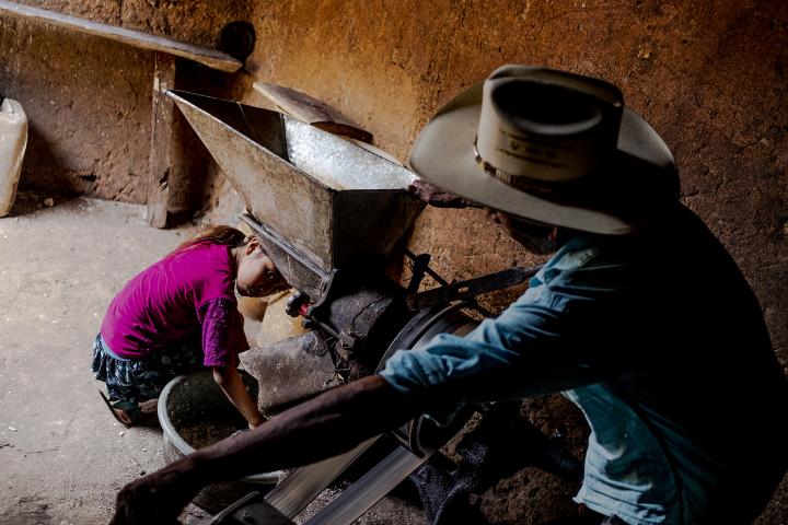 Camotán está en pleno corredor seco, una zona de extrema vulnerabilidad climática que atraviesa Mesoamérica de norte a sur y alterna devastadoras tormentas tropicales con crudas sequías. En Camotán es habitual la migración estacional a zonas de cosecha, y el pueblo es fuente permanente de migrantes hacia México y Estados Unidos. En la imagen, una niña espera mientras un molino local procesa su maíz. Foto: Fred Ramos