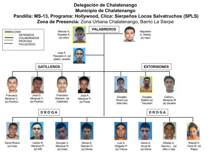 La Policía hizo una decena de investigaciones contra la clica Sierpeños Locos Salvatruchos, entre 2017 y 2022, según documentos de la filtración Guacamaya Leaks. En ninguno de los documentos y cientos de fichas hay referencias a Nelson.