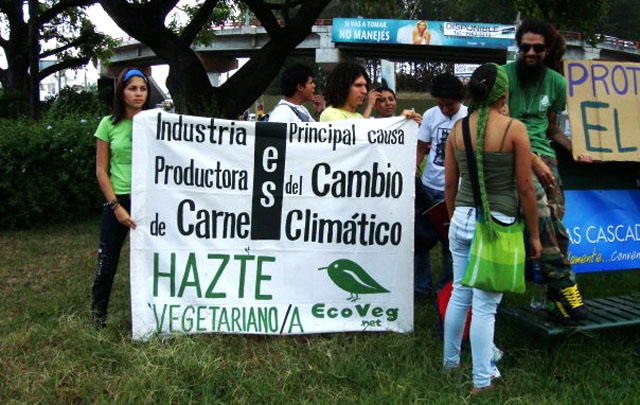 Mauricio Zamora durante protesta contra la deforestación de la finca El Espino en el redondel Naciones Unidas en Antiguo Cuscatlán en febrero 2011. Foto cortesía Mauricio Zamora