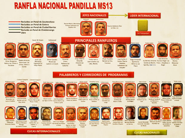 Jeraquía de mando en la pandilla MS13 según datos de la PNC.